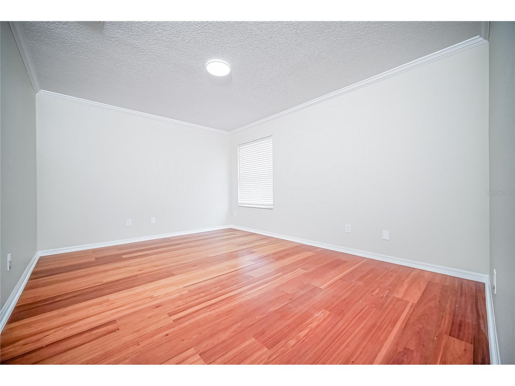 2509 Skif Drive Orlando FL 32812 O6377485 image21