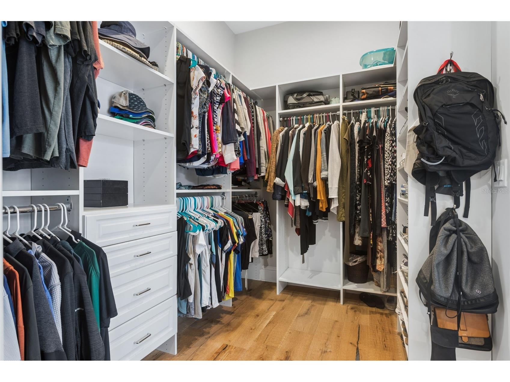 2509 W Palm Drive Tampa FL 33629 TB8495251 image27