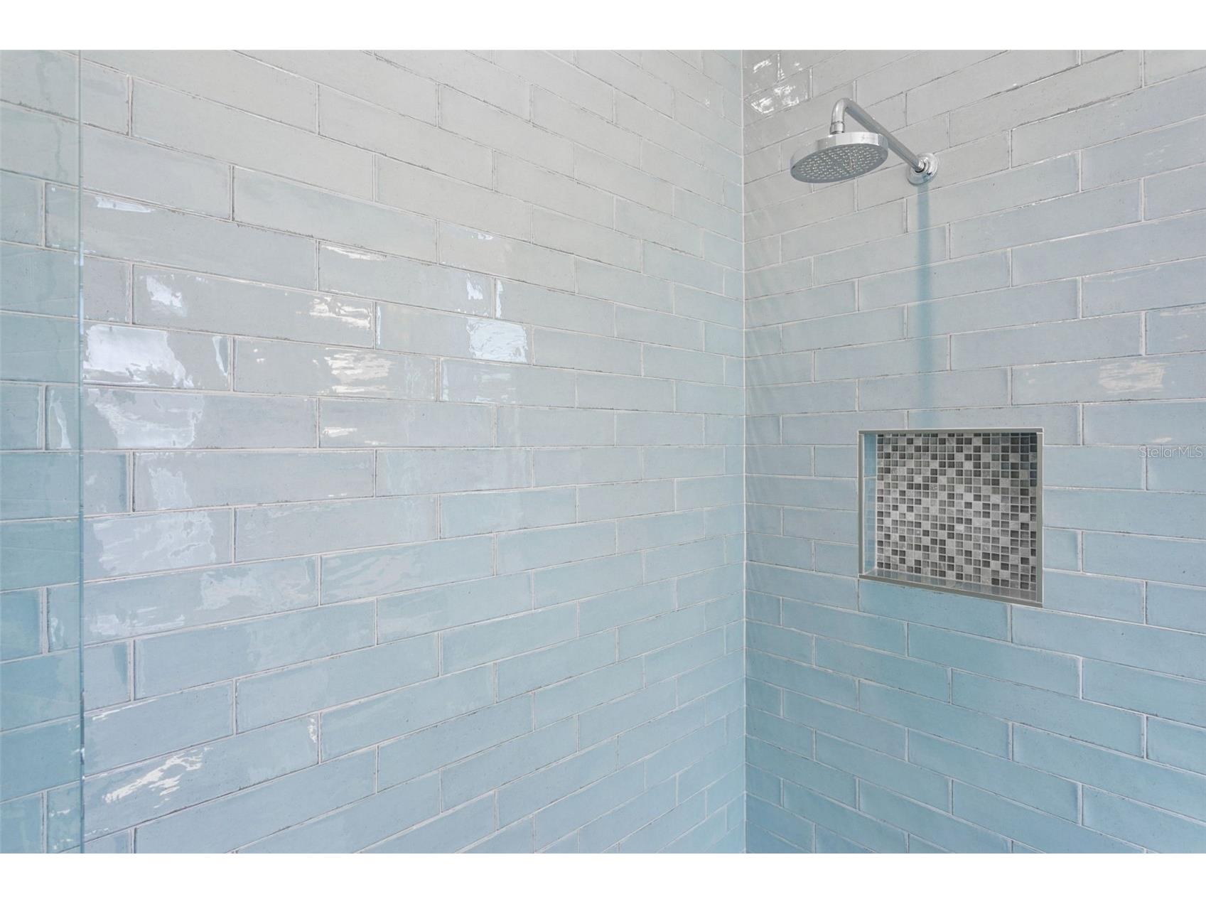 2509 W Palm Drive Tampa FL 33629 TB8495251 image32