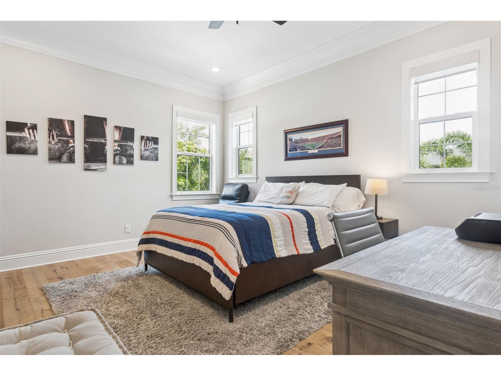 2509 W Palm Drive Tampa FL 33629 TB8495251 image37