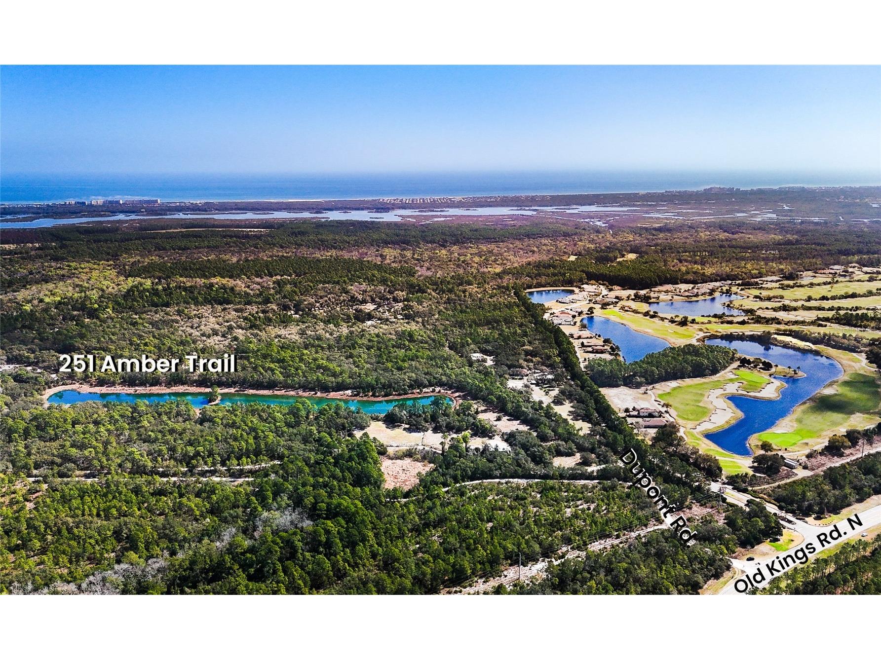 251 Amber Trail Palm Coast FL 32137 FC316491 image1