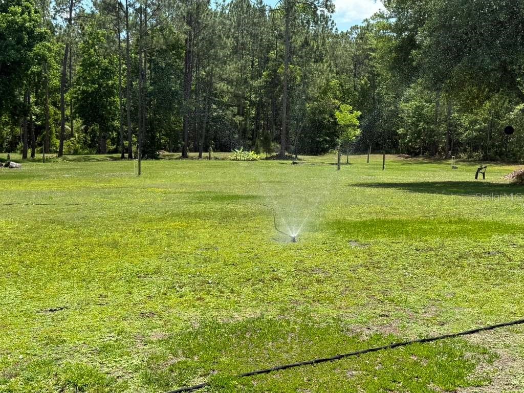 251 Barrell Turn Ormond Beach FL 32174 FC318614 image21