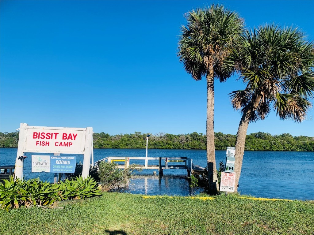 251 Bissit Bay Road Oak Hill FL 32759 - INDIAN RIVER LAGOON/ICW NS1083142 image1
