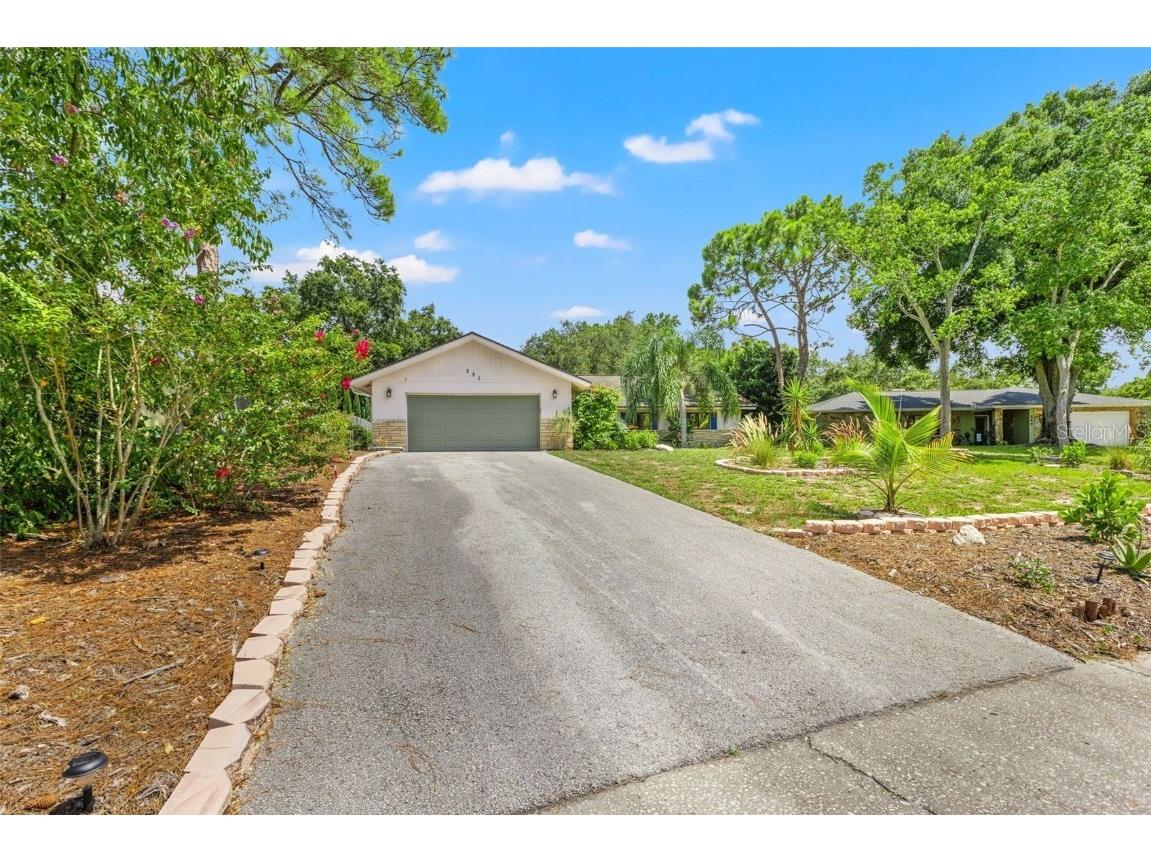 251 Dunbridge Drive Palm Harbor FL 34684 TB8375424 image1