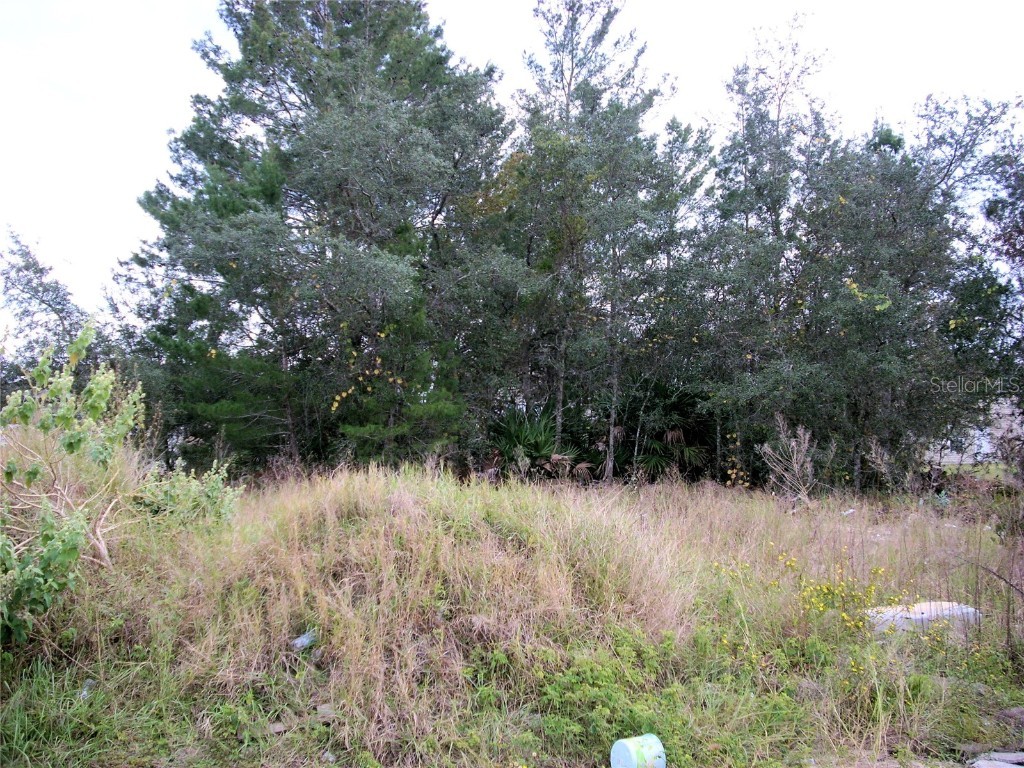 251 Gladiola Court Kissimmee FL 34759 S5105188 image1