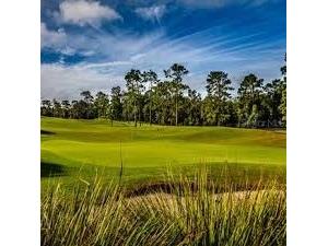 251 Northcote Court Deland FL 32724 O6384977 image35