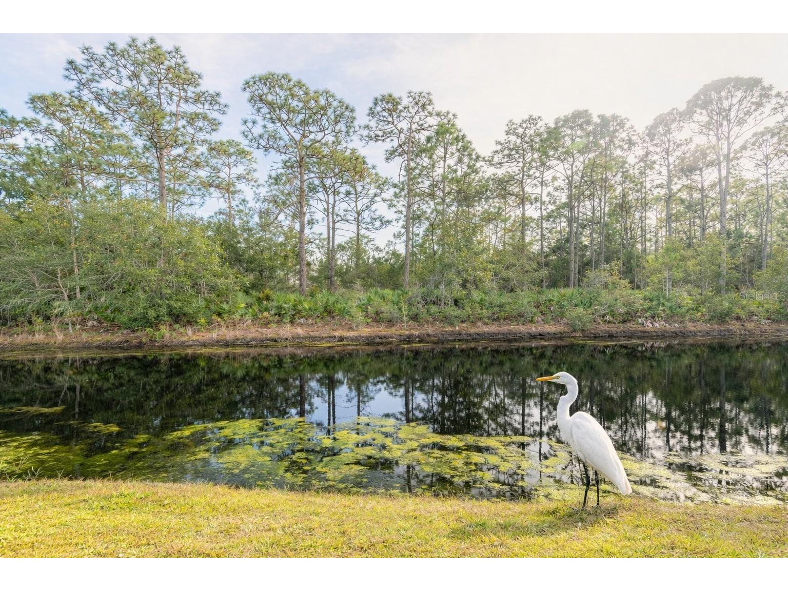 251 Orange Grove Drive #8 Ormond Beach FL 32174 V4946671 image2