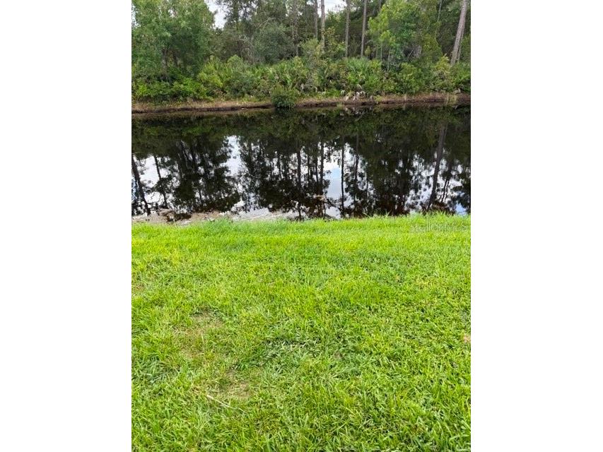 251 Orange Grove Drive #UNIT 6 Ormond Beach FL 32174 NS1088600 image3