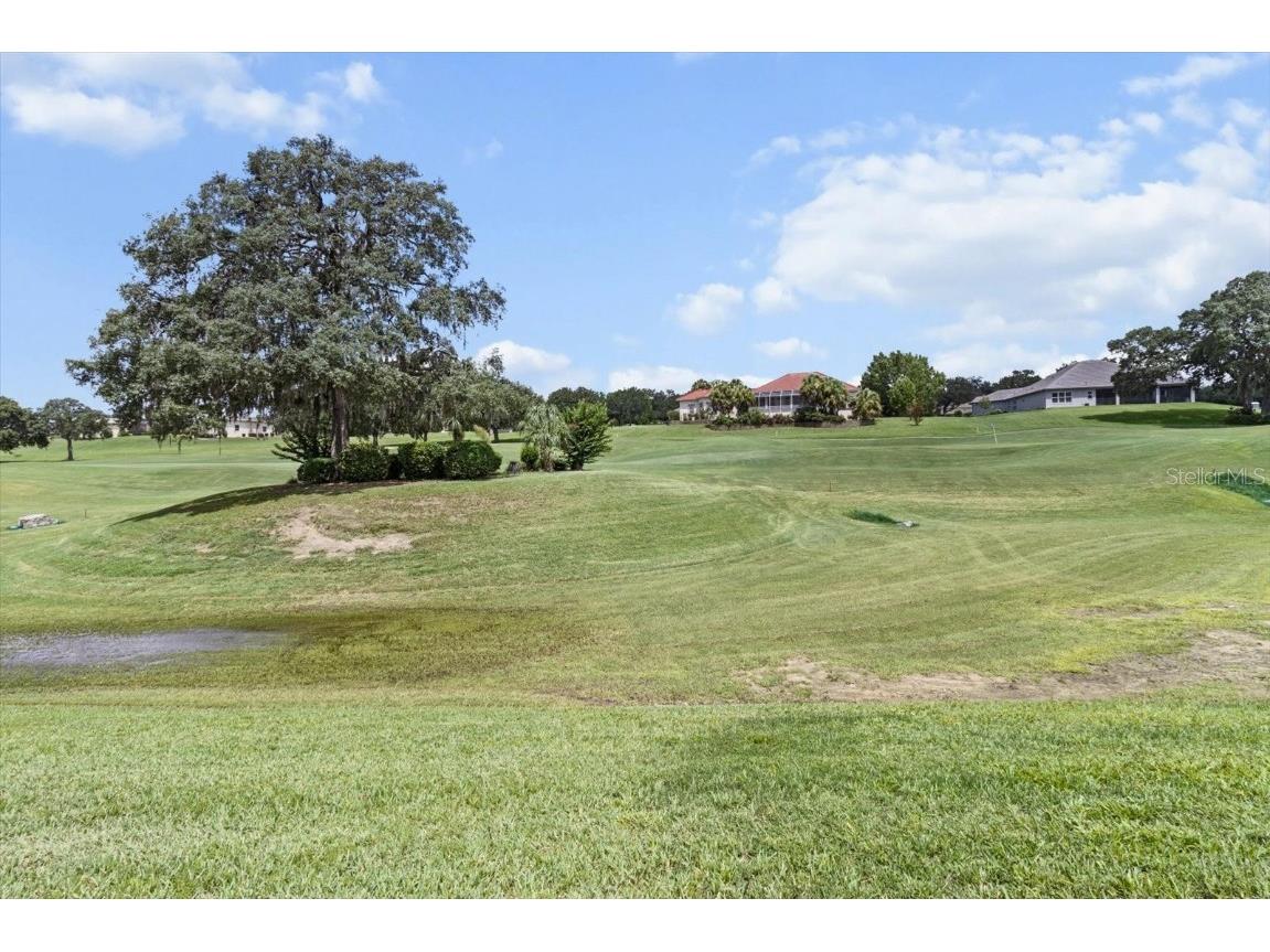 251 W Mickey Mantle Path Hernando FL 34442 OM705875 image38