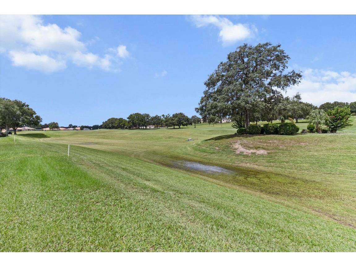 251 W Mickey Mantle Path Hernando FL 34442 OM705875 image39