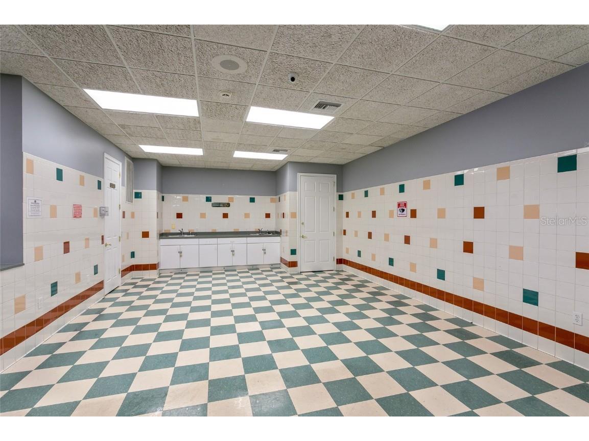 2510 Black Lake Boulevard Winter Garden FL 34787 O6330638 image28