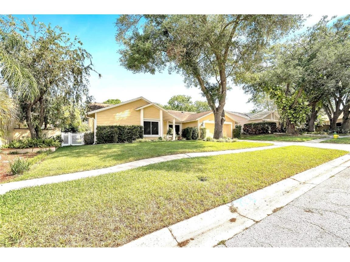 2510 Brimhollow Drive Valrico FL 33596 T3438608 image1