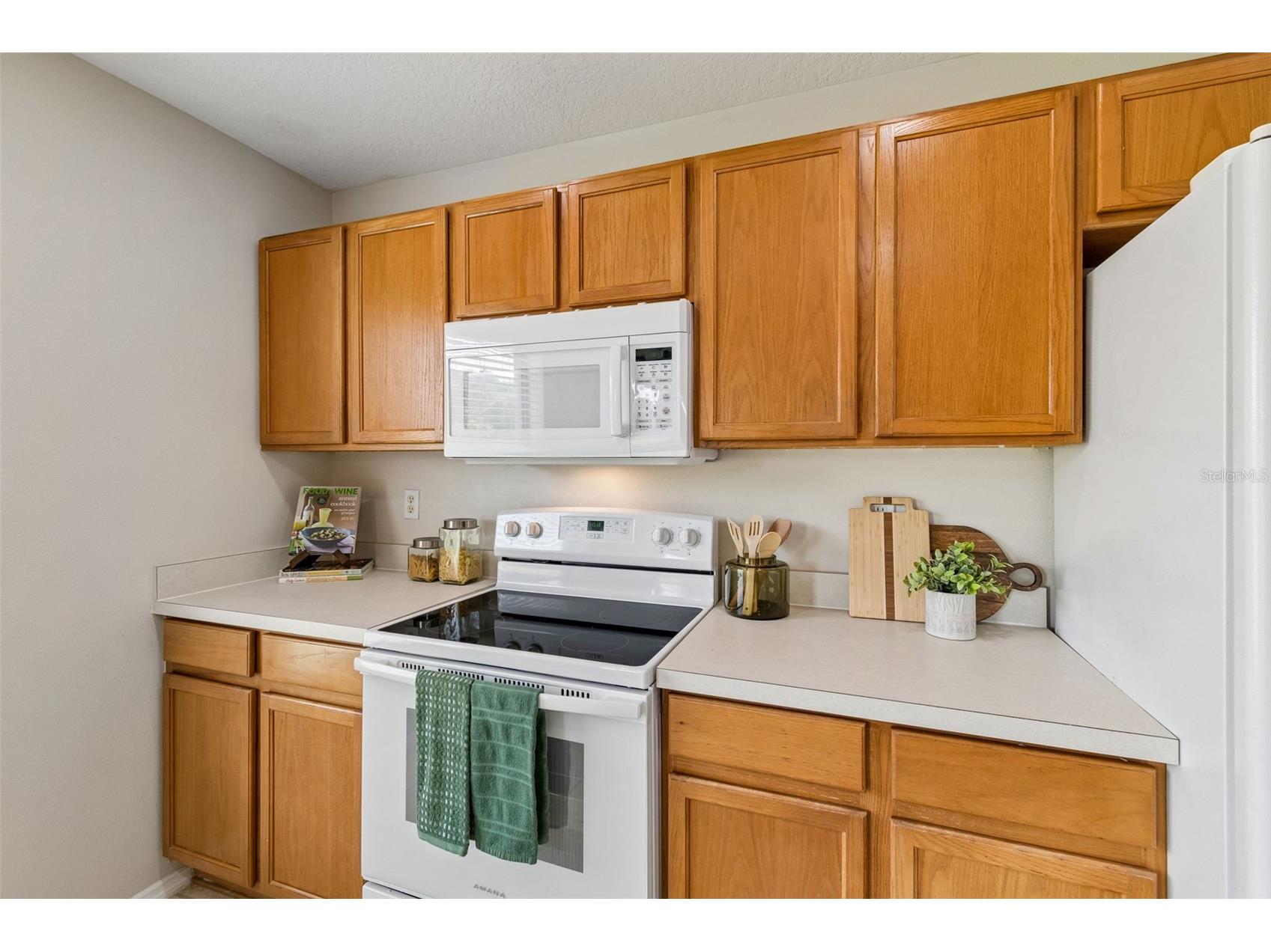 2510 Edgewater Falls Drive Brandon FL 33511 TB8498623 image26