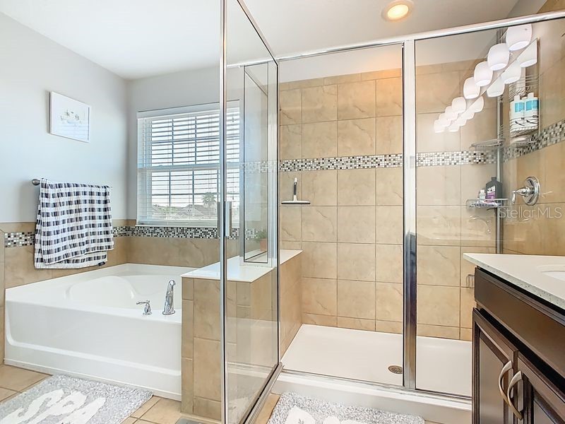 2510 Fontaine Drive Kissimmee FL 34741 O6359627 image17