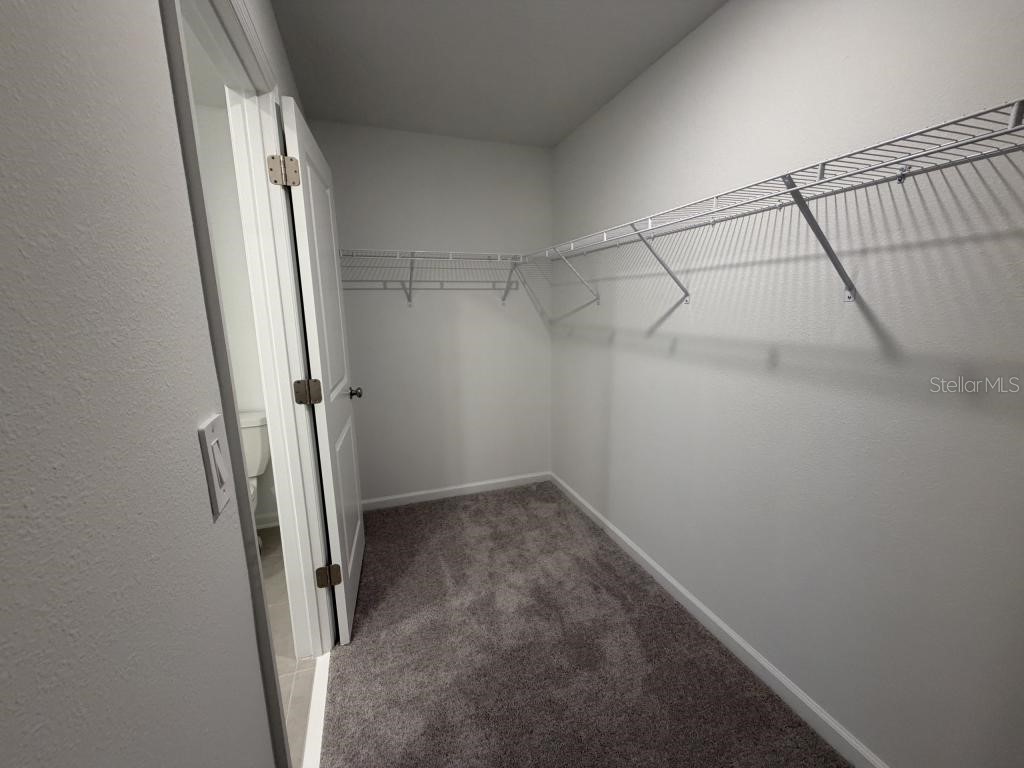 2510 Hallow Graden Rd Eustis FL 32726 S5153837 image11