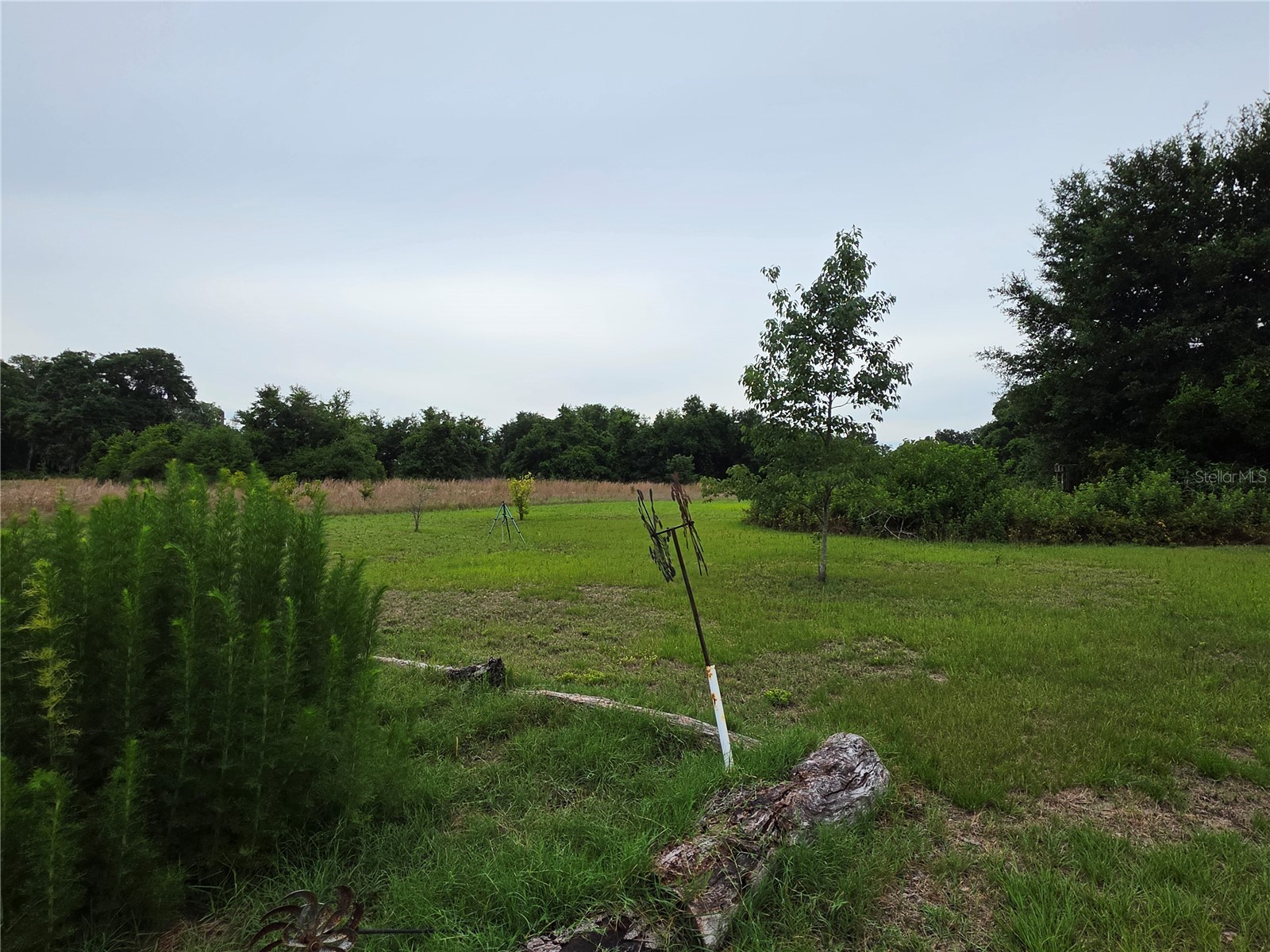 2510 NE 165th Street Citra FL 32113 O6410706 image3