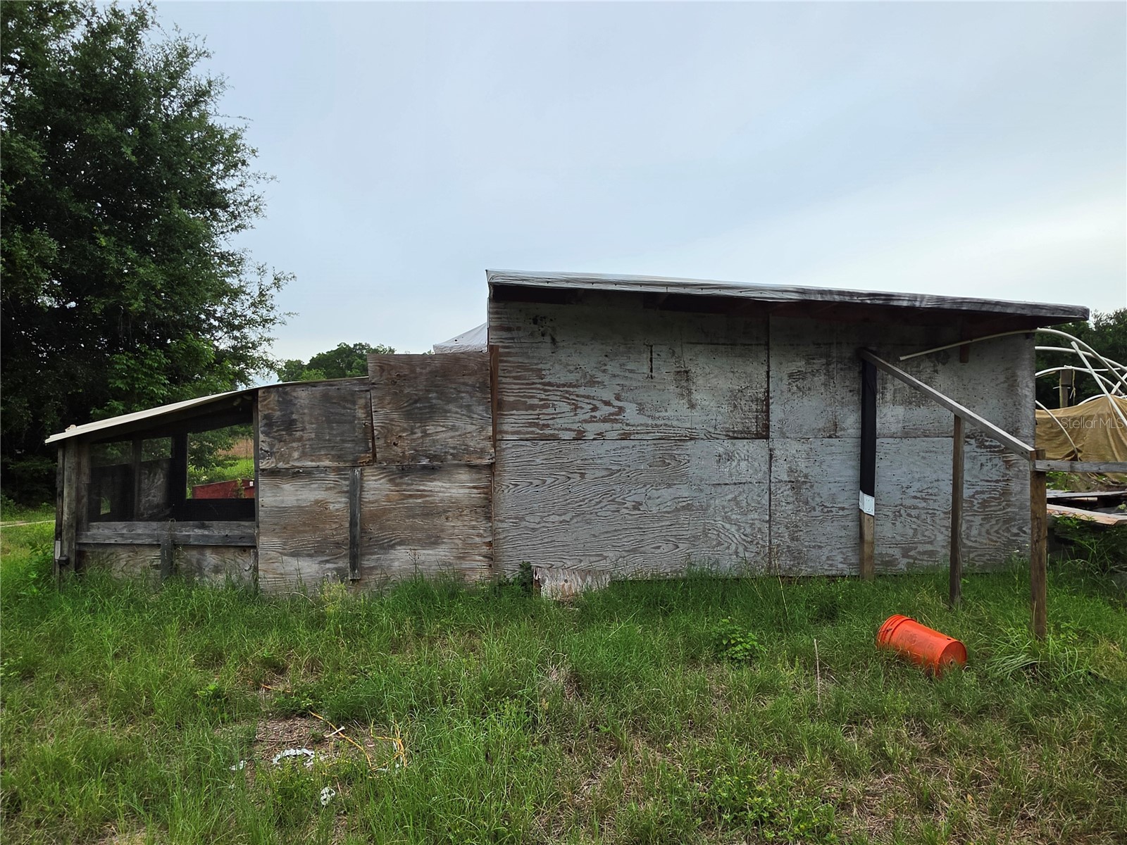 2510 NE 165th Street Citra FL 32113 O6410706 image4