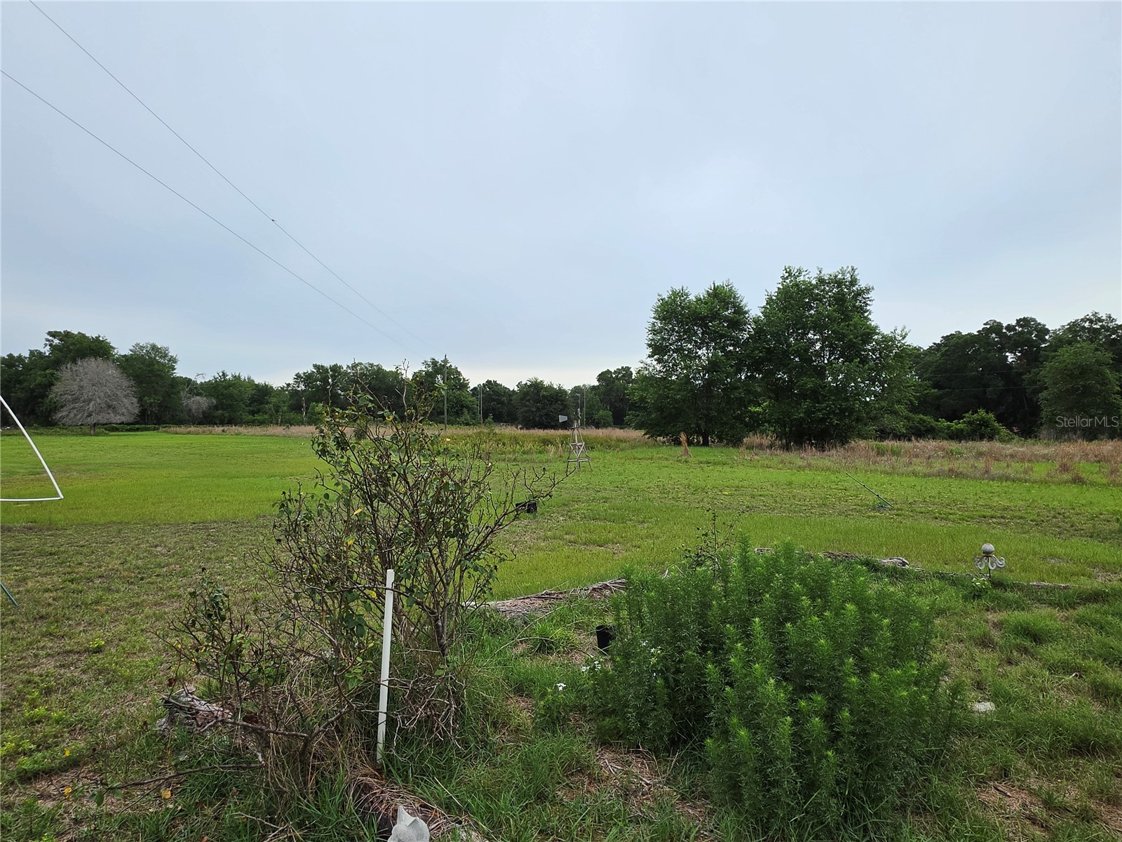 2510 NE 165th Street Citra FL 32113 O6410706 image6