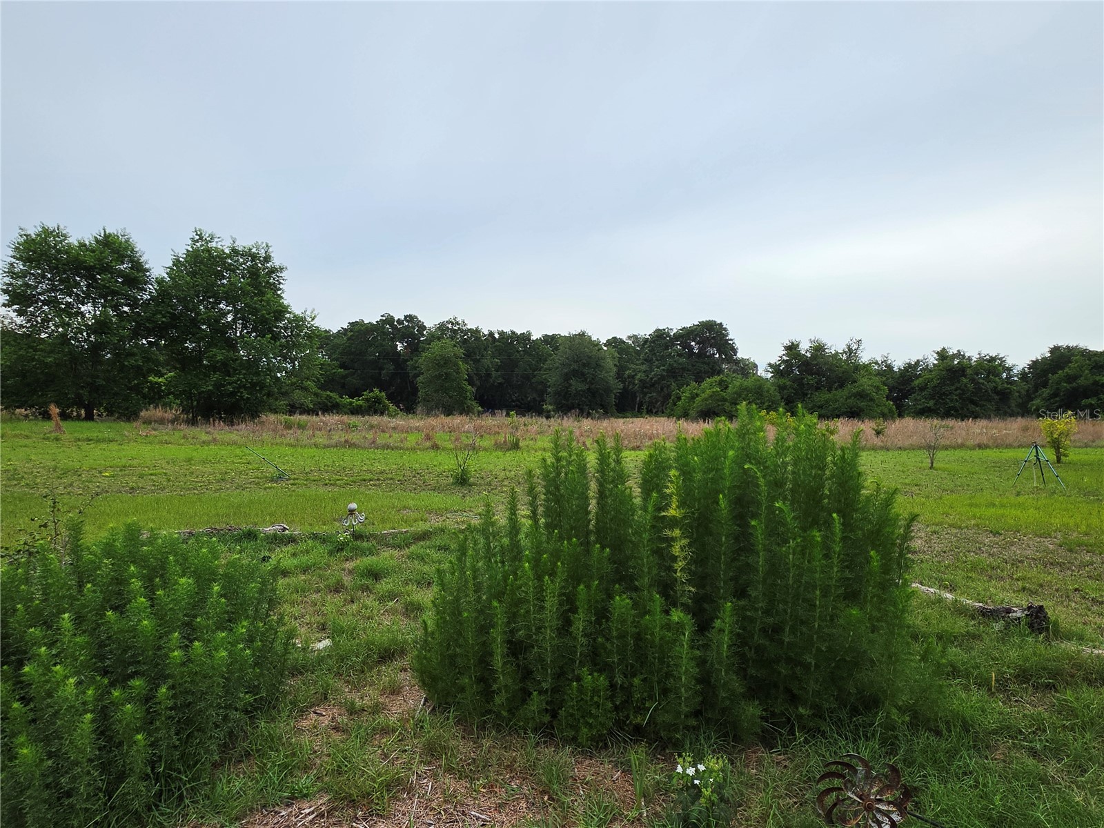 2510 NE 165th Street Citra FL 32113 O6410706 image7
