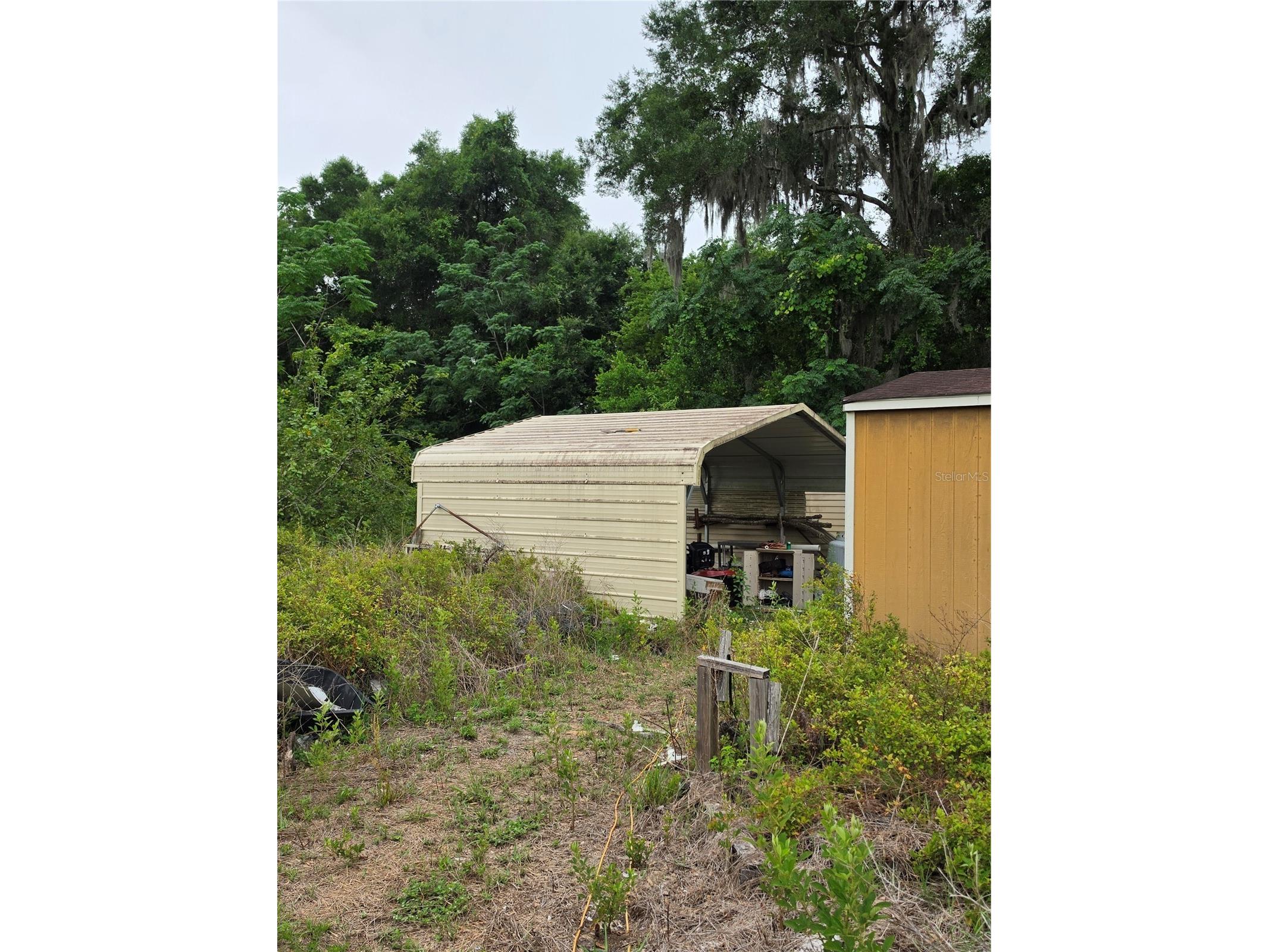 2510 NE 165th Street Citra FL 32113 O6410706 image8