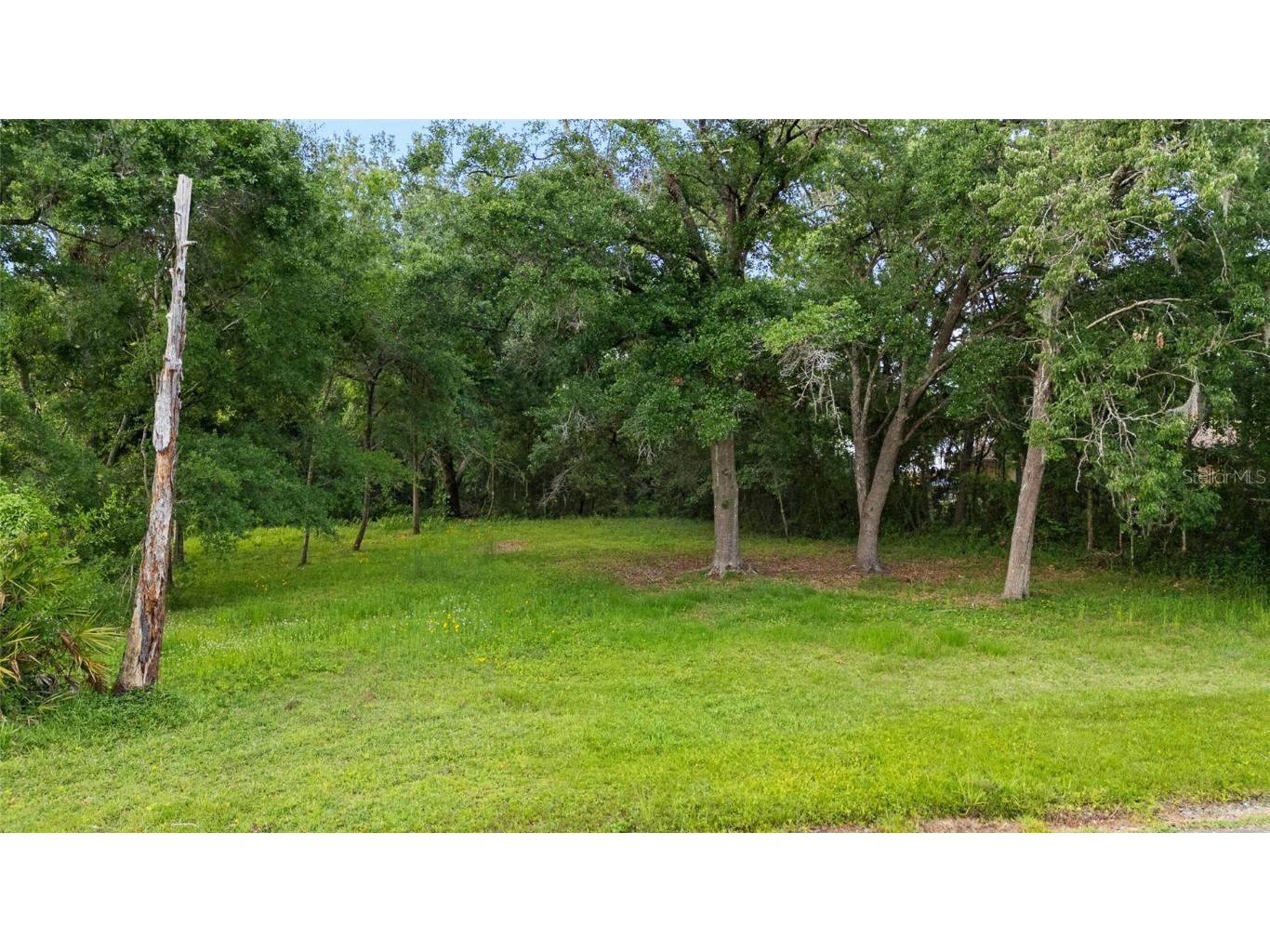 2510 Victarra Circle Lutz FL 33559 TB8383129 image1