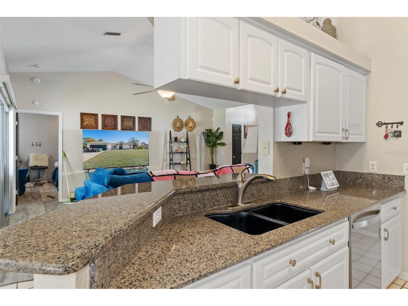 2510 Whitewood Avenue Spring Hill FL 34609 W7884957 image16