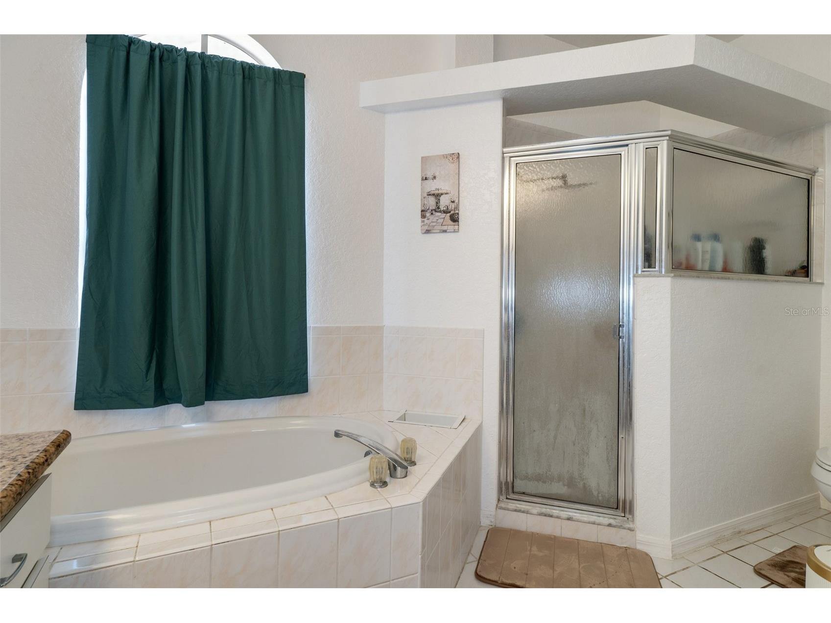 2510 Whitewood Avenue Spring Hill FL 34609 W7884957 image25