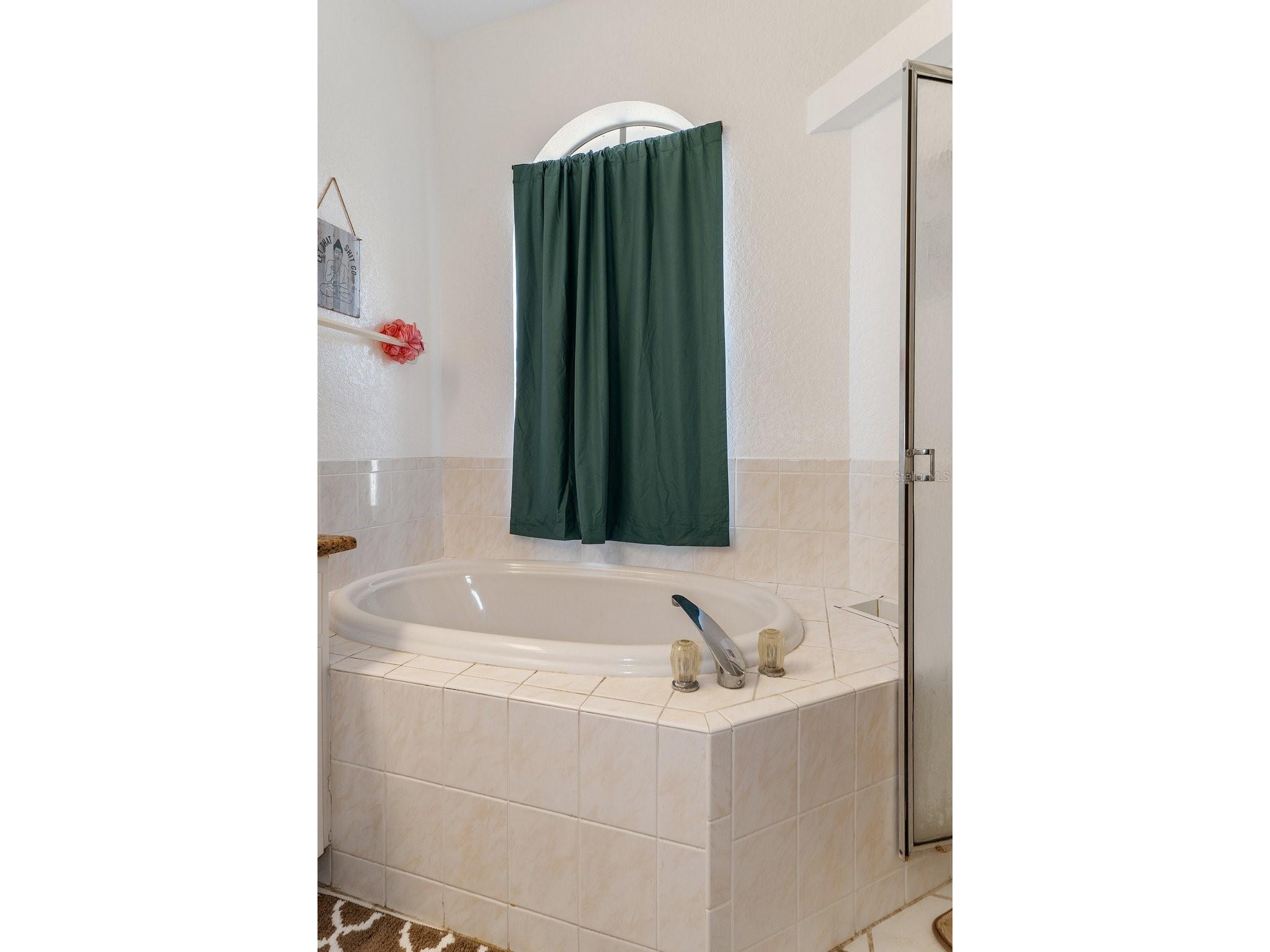 2510 Whitewood Avenue Spring Hill FL 34609 W7884957 image27