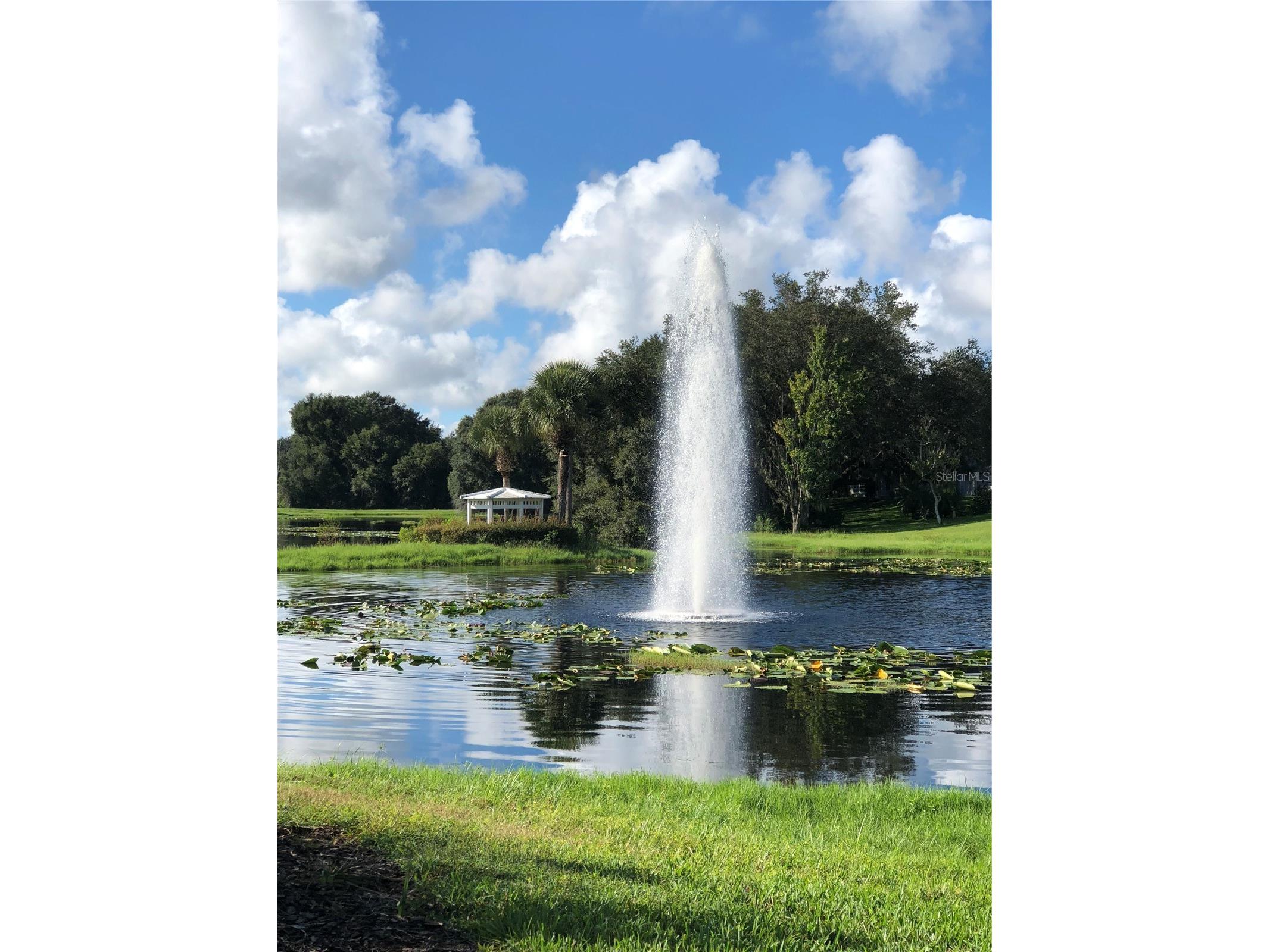 25100 Pine Hill Leesburg FL 34748 G5106789 image100