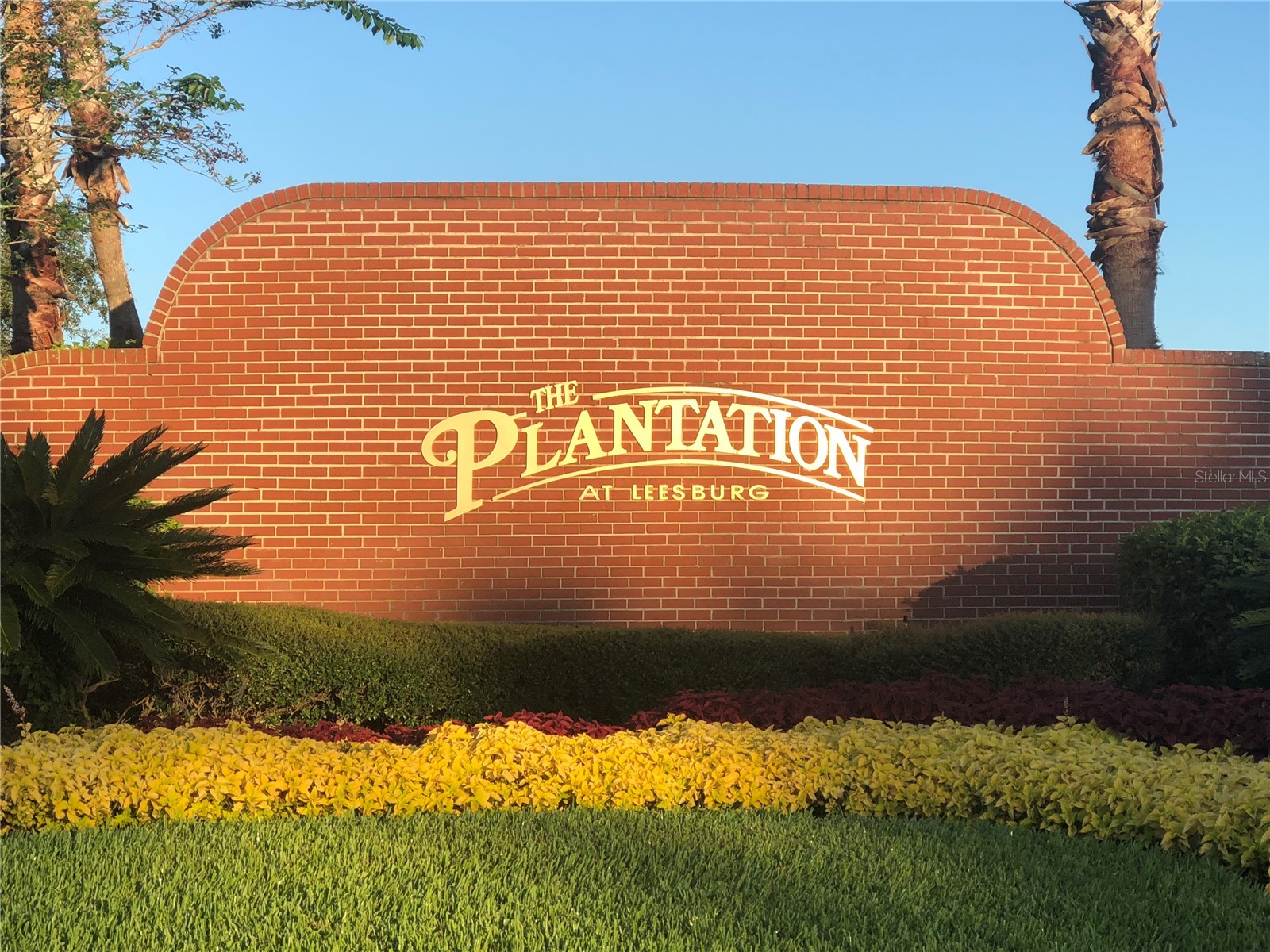 25100 Pine Hill Leesburg FL 34748 G5106789 image71
