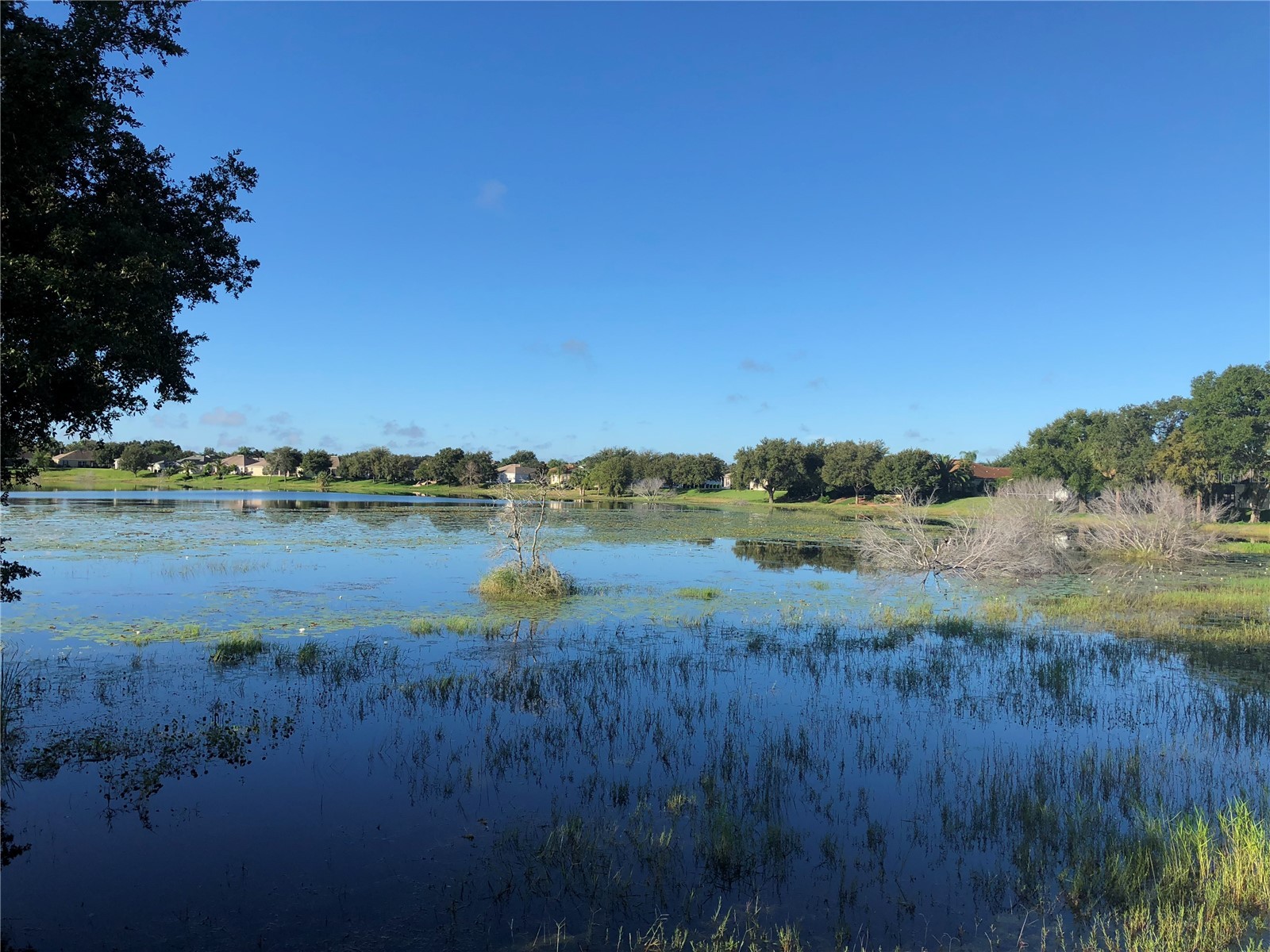 25100 Pine Hill Leesburg FL 34748 G5106789 image88