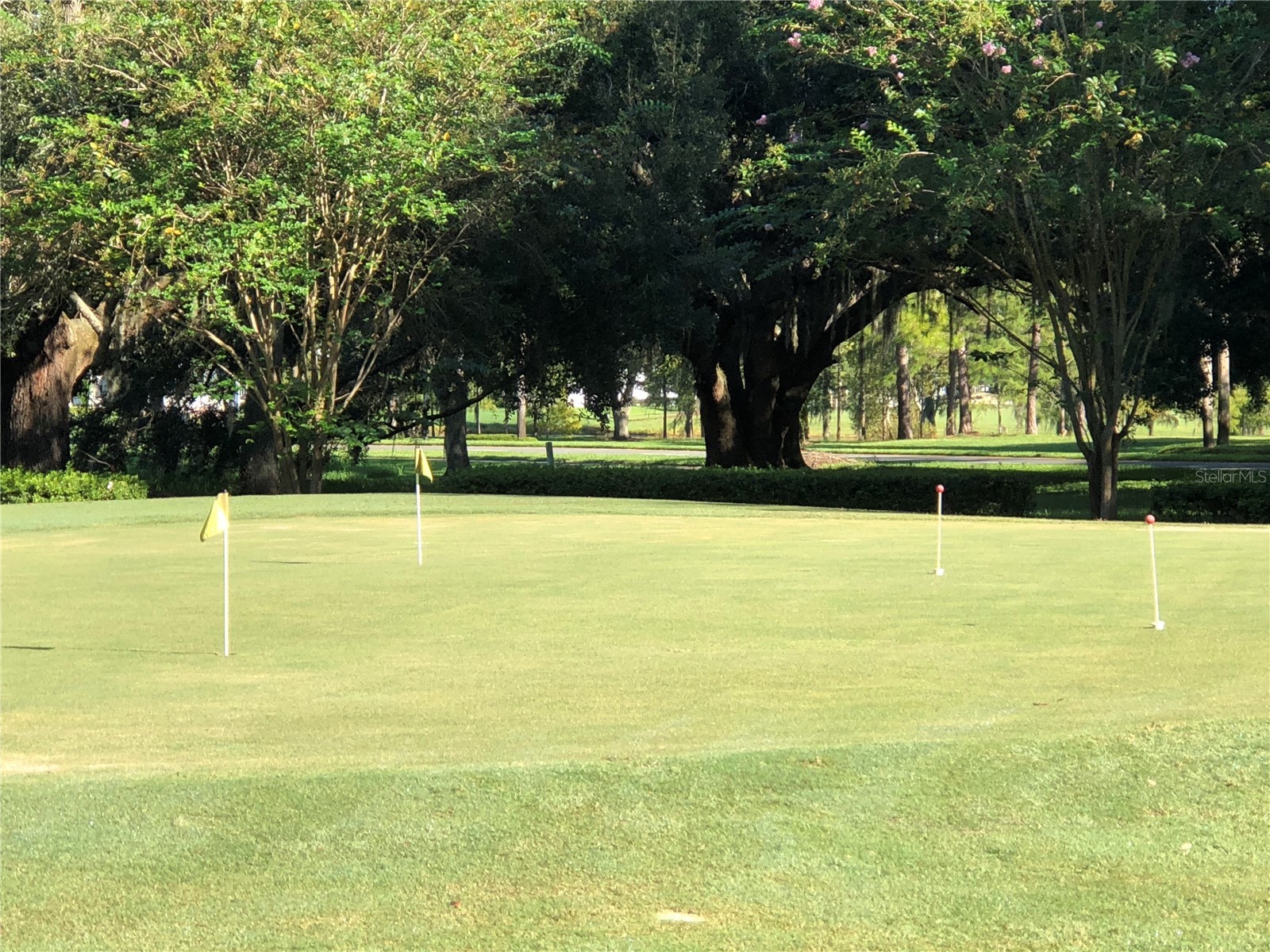 25100 Pine Hill Leesburg FL 34748 G5106789 image91