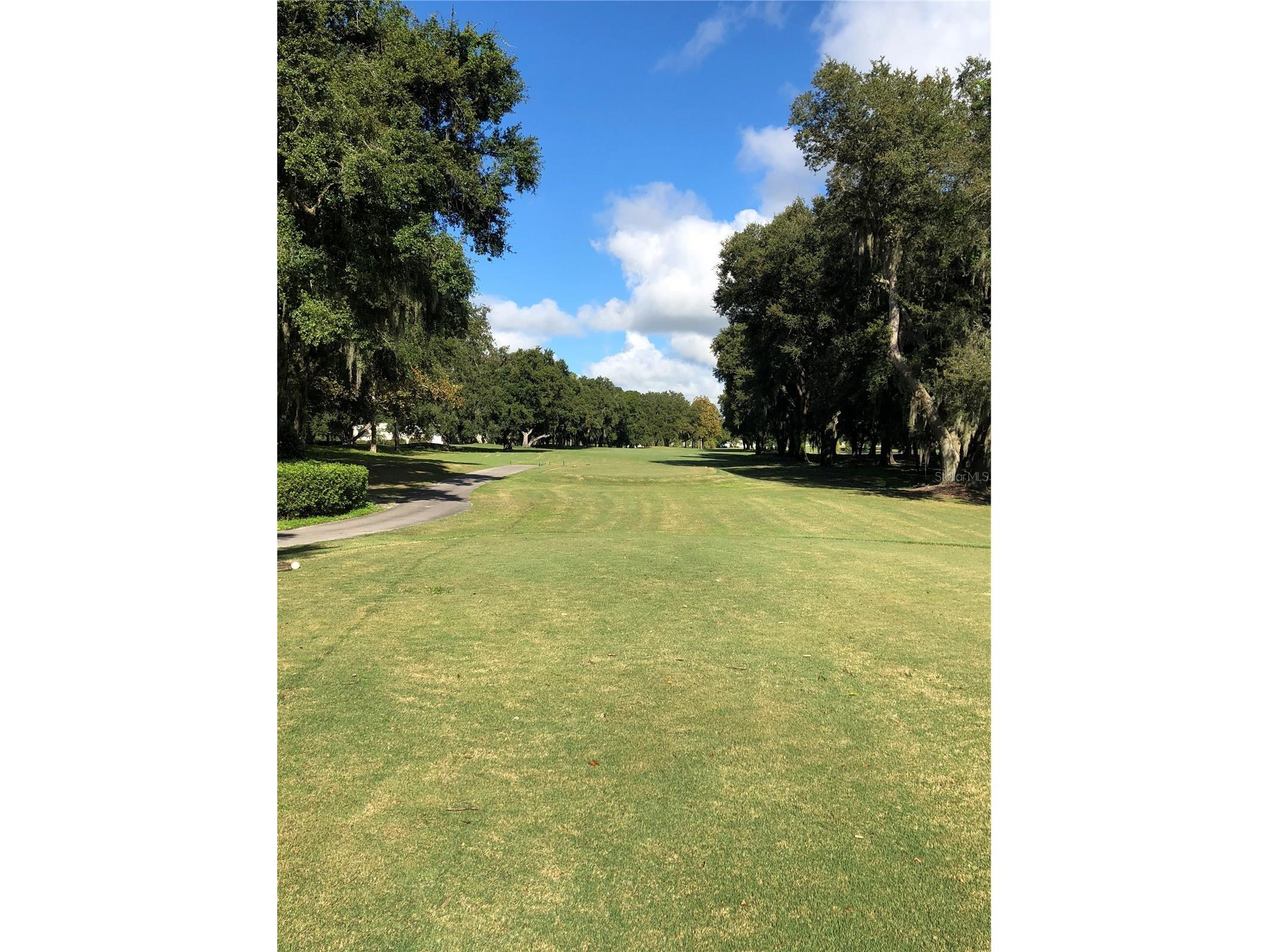25100 Pine Hill Leesburg FL 34748 G5106789 image96