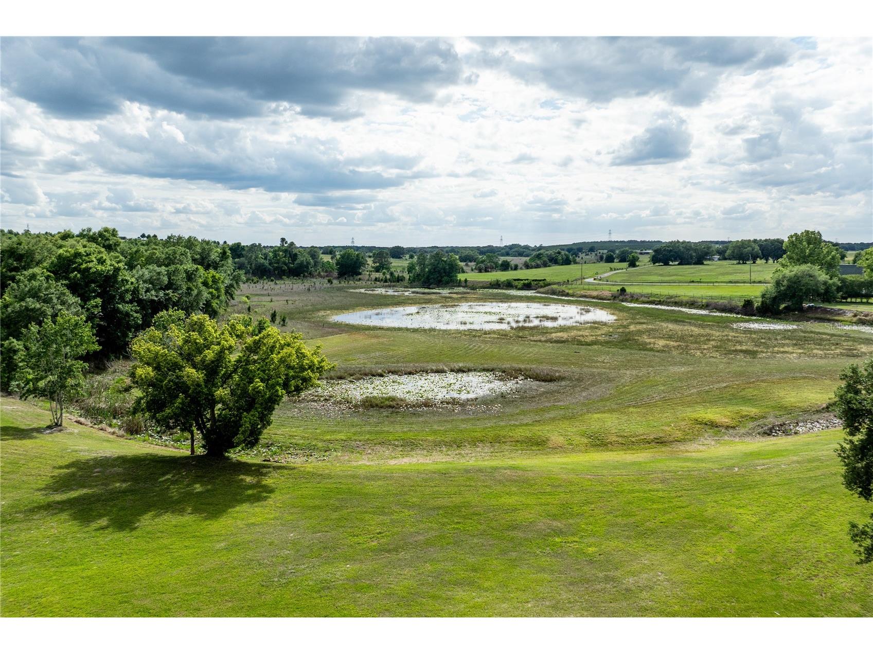 25101 Turkey Lake Road Howey In The Hills FL 34737 G5111478 image4