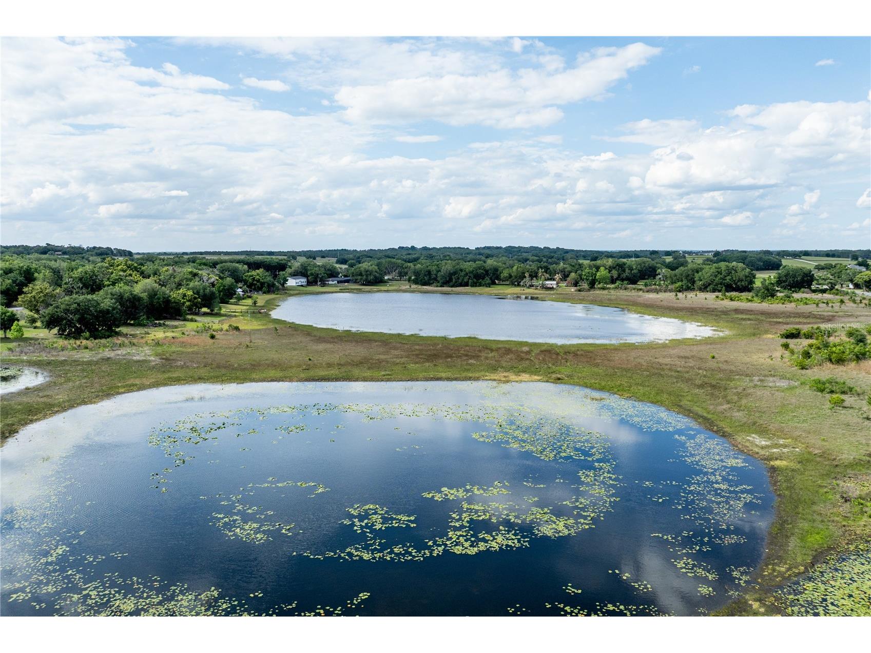 25101 Turkey Lake Road Howey In The Hills FL 34737 G5111478 image51