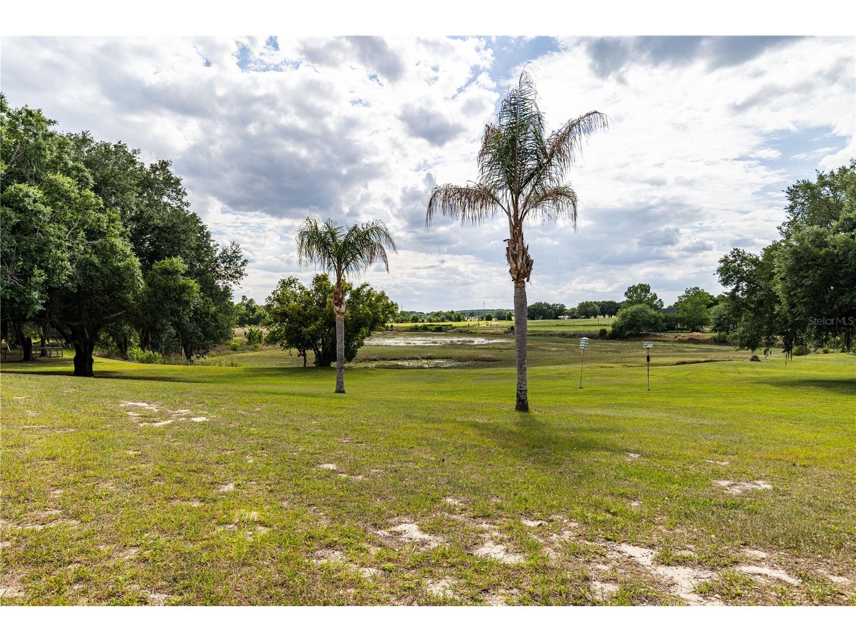 25101 Turkey Lake Road Howey In The Hills FL 34737 G5111478 image52