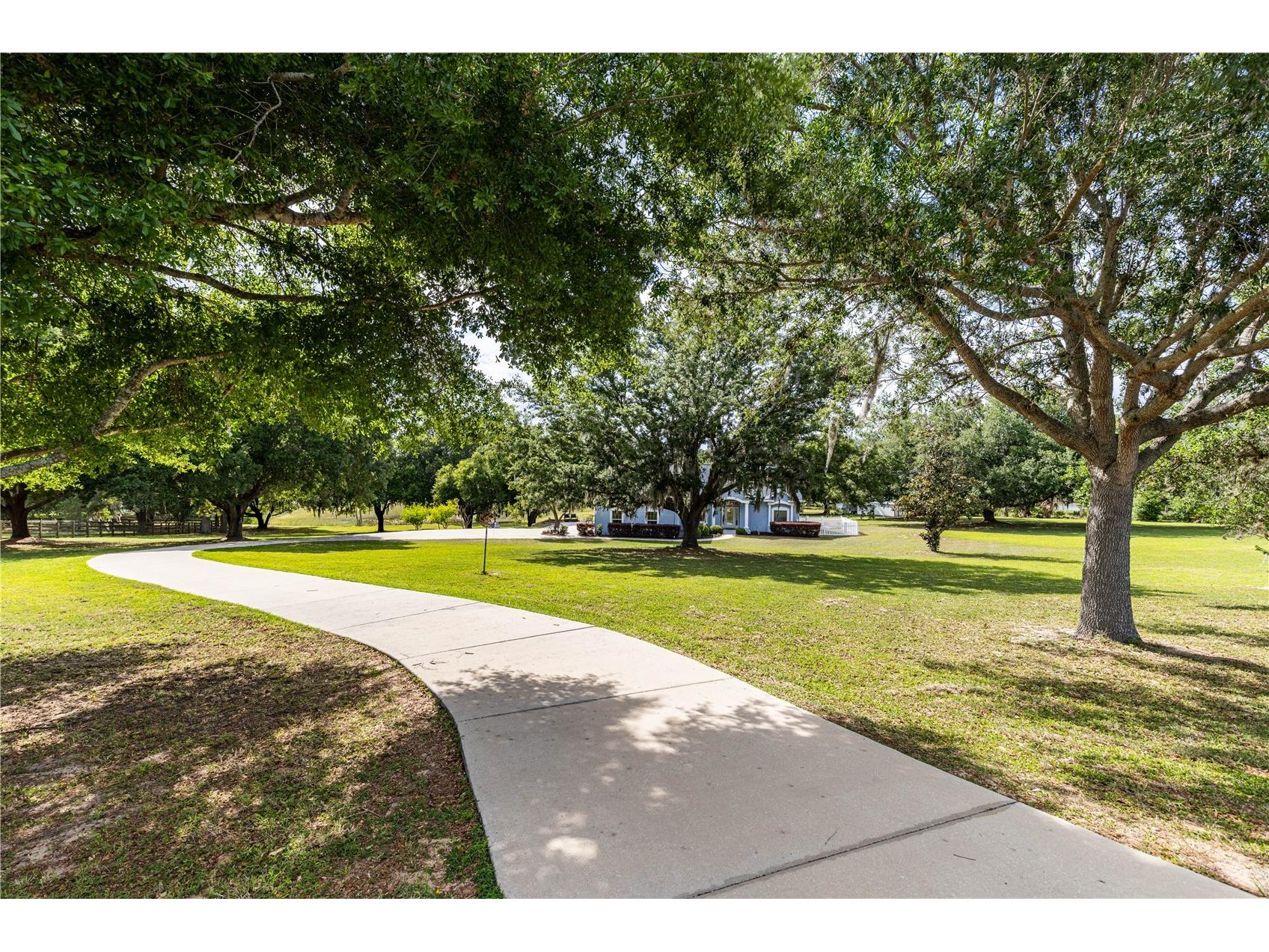 25101 Turkey Lake Road Howey In The Hills FL 34737 G5111478 image6