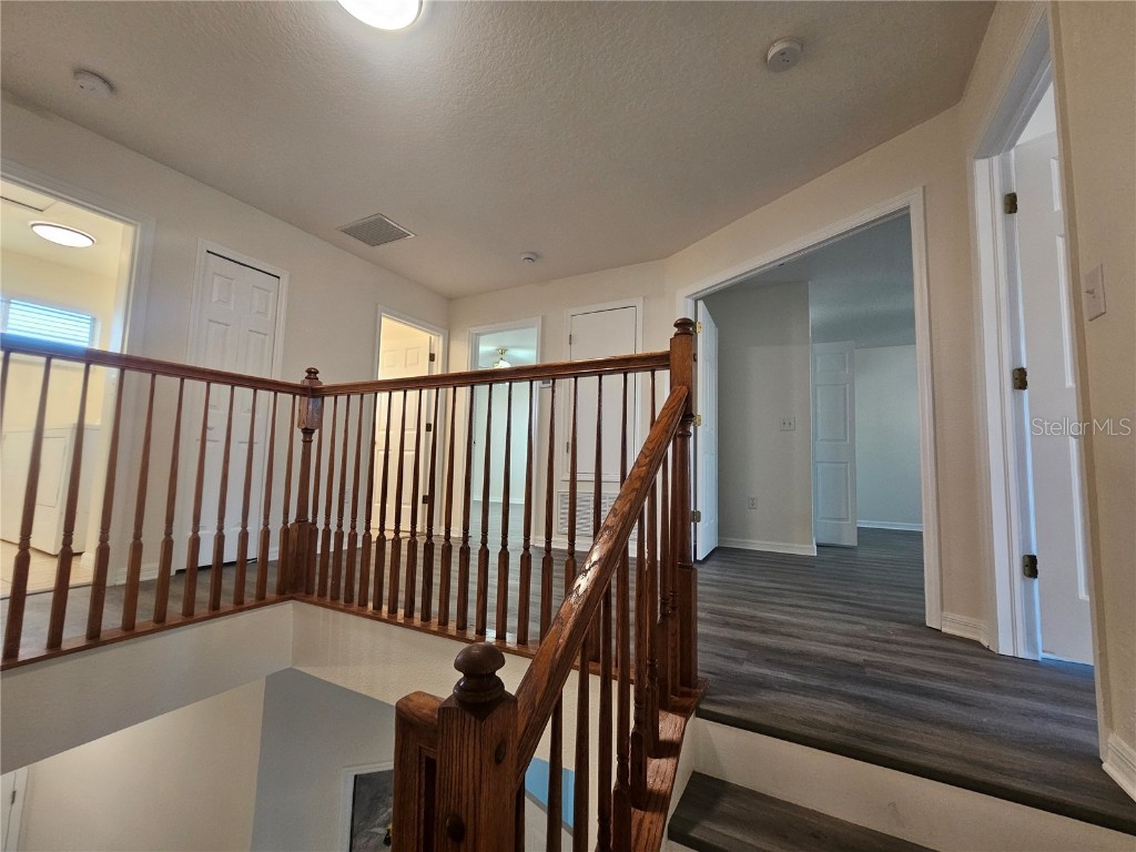 25102 Geddy Drive Land O Lakes FL 34639 A4675314 image10