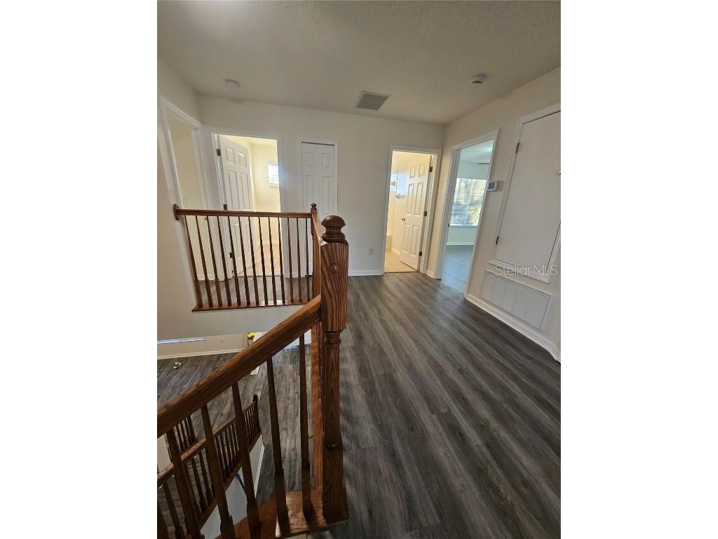 25102 Geddy Drive Land O Lakes FL 34639 A4675314 image11