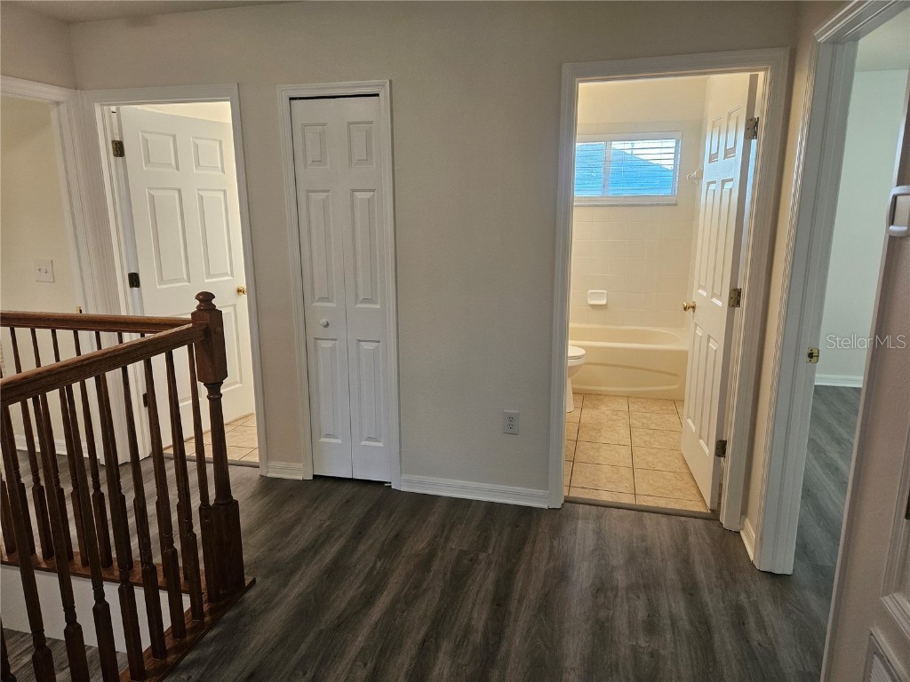 25102 Geddy Drive Land O Lakes FL 34639 A4675314 image17