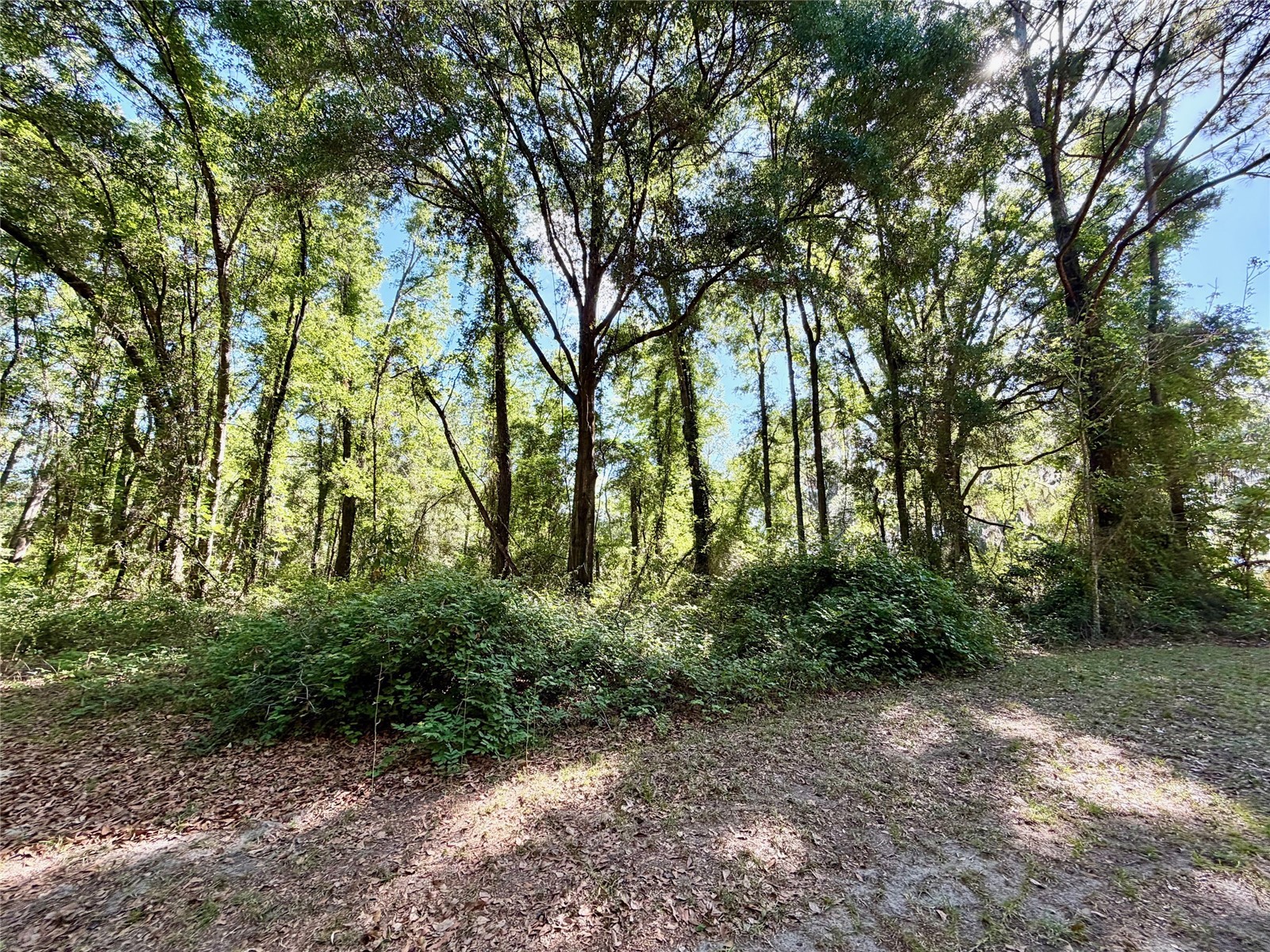 25104 N County Road 1491 Alachua FL 32615 GC539889 image13