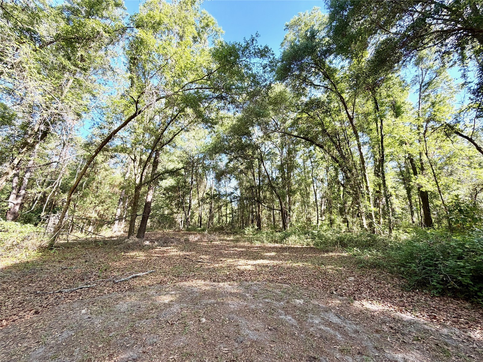 25104 N County Road 1491 Alachua FL 32615 GC539889 image14