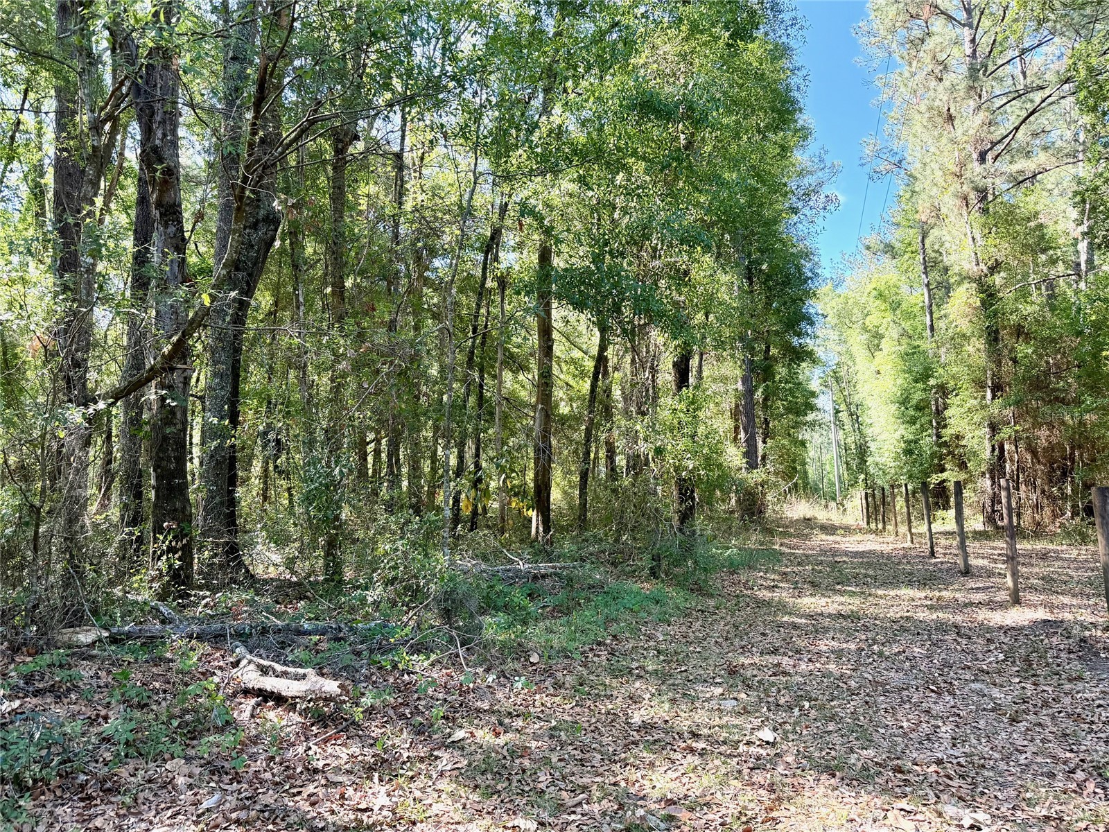 25104 N County Road 1491 Alachua FL 32615 GC539889 image15