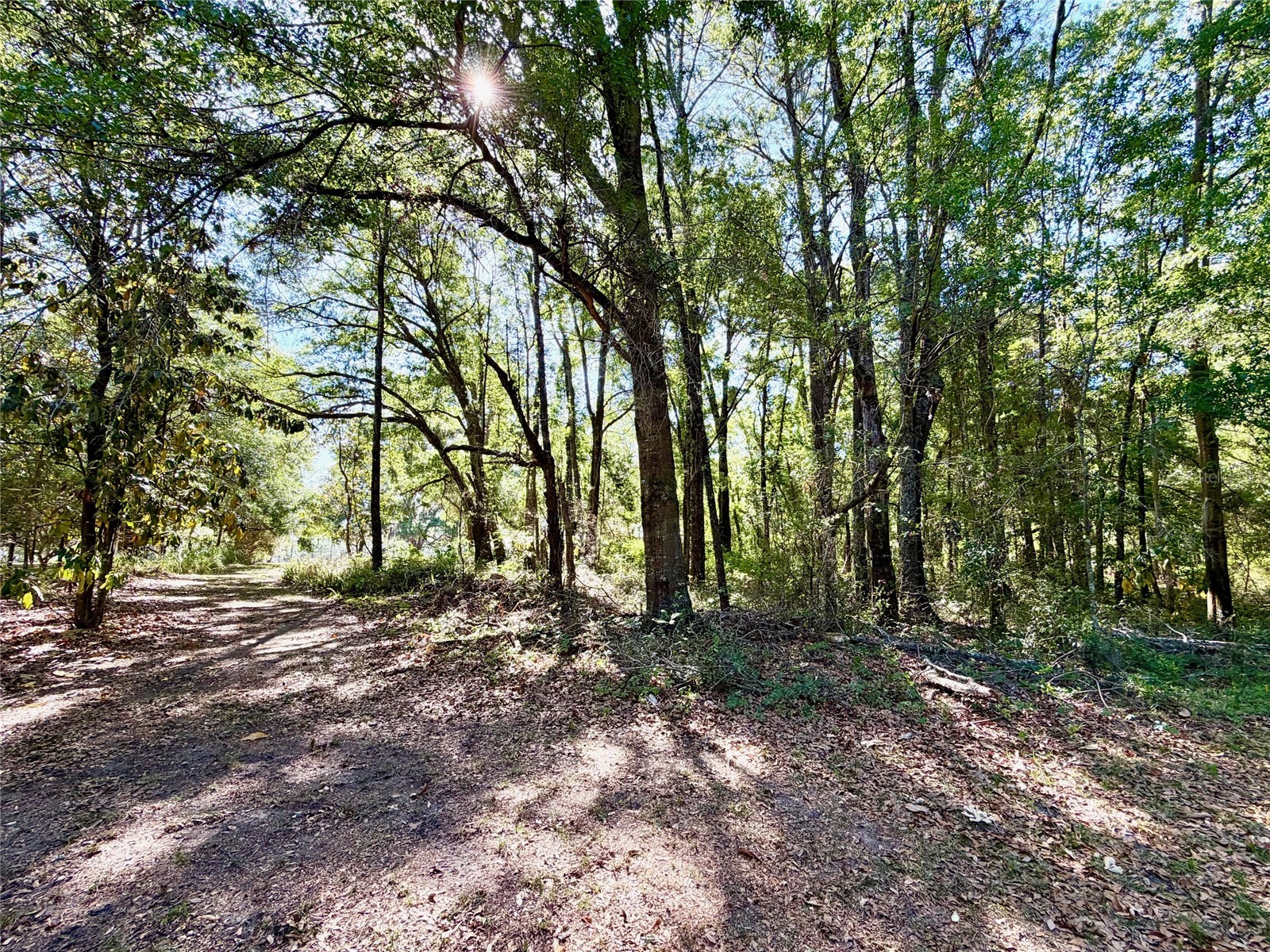 25104 N County Road 1491 Alachua FL 32615 GC539889 image16