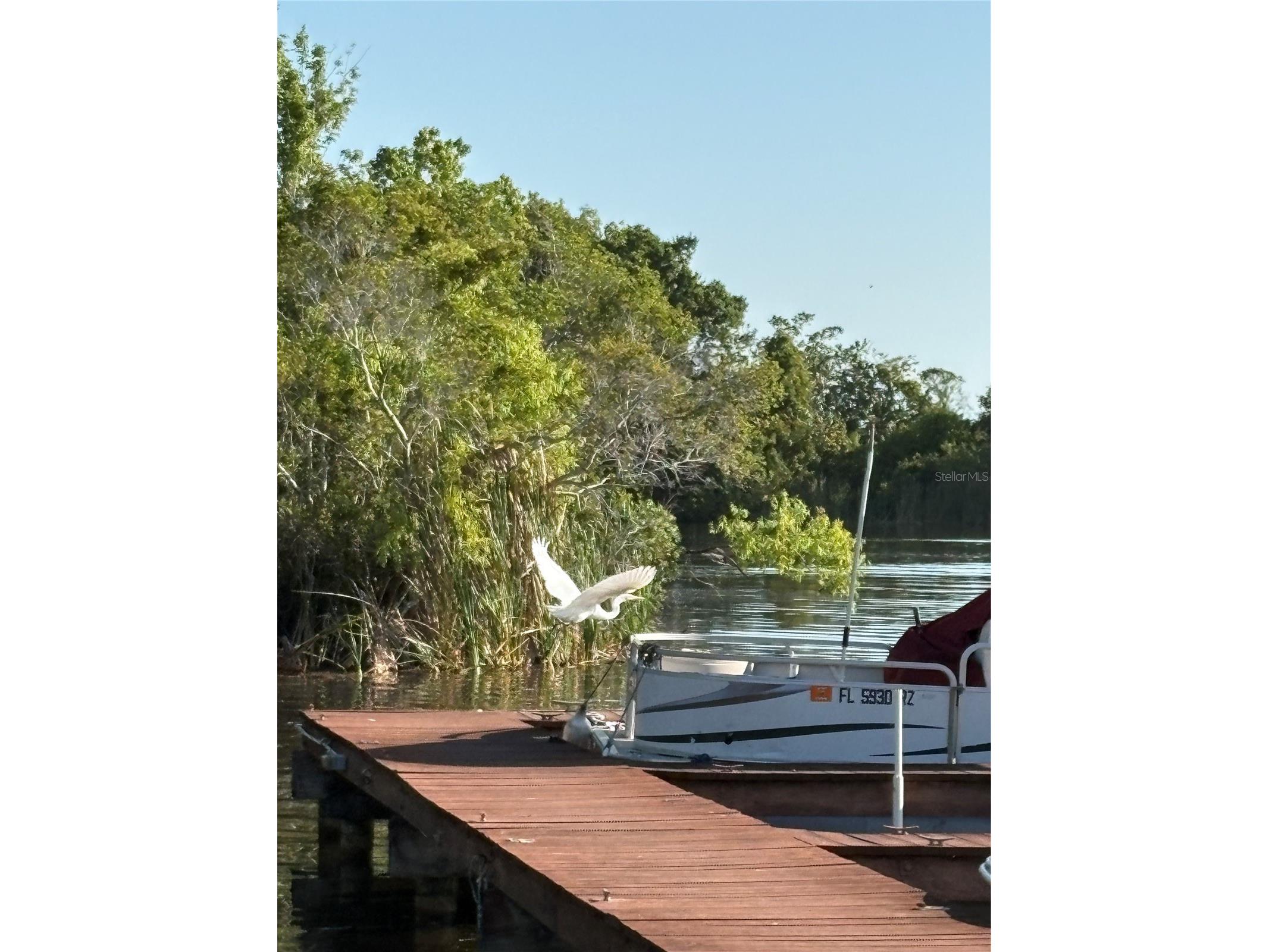 2511 2511 Dolly Bay Drive #102 Palm Harbor FL 34684 OM723041 image10