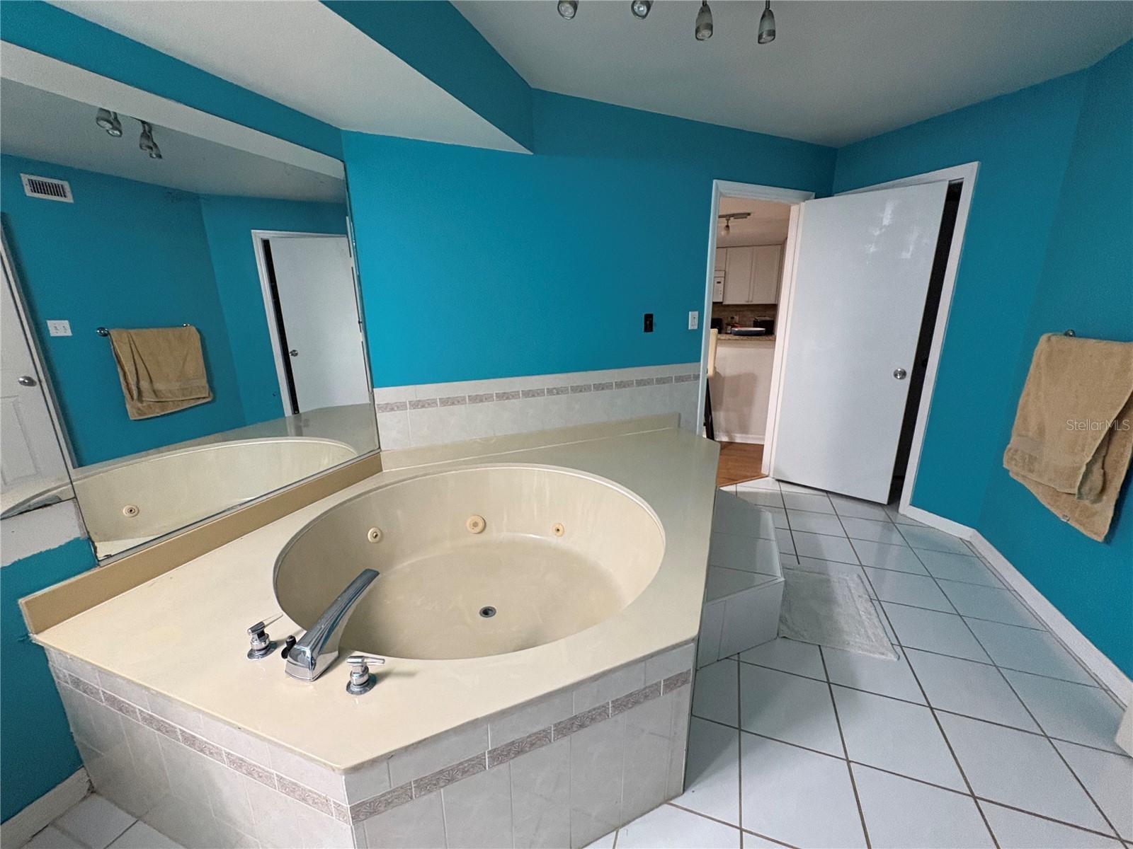2511 2511 Dolly Bay Drive #102 Palm Harbor FL 34684 OM723041 image17