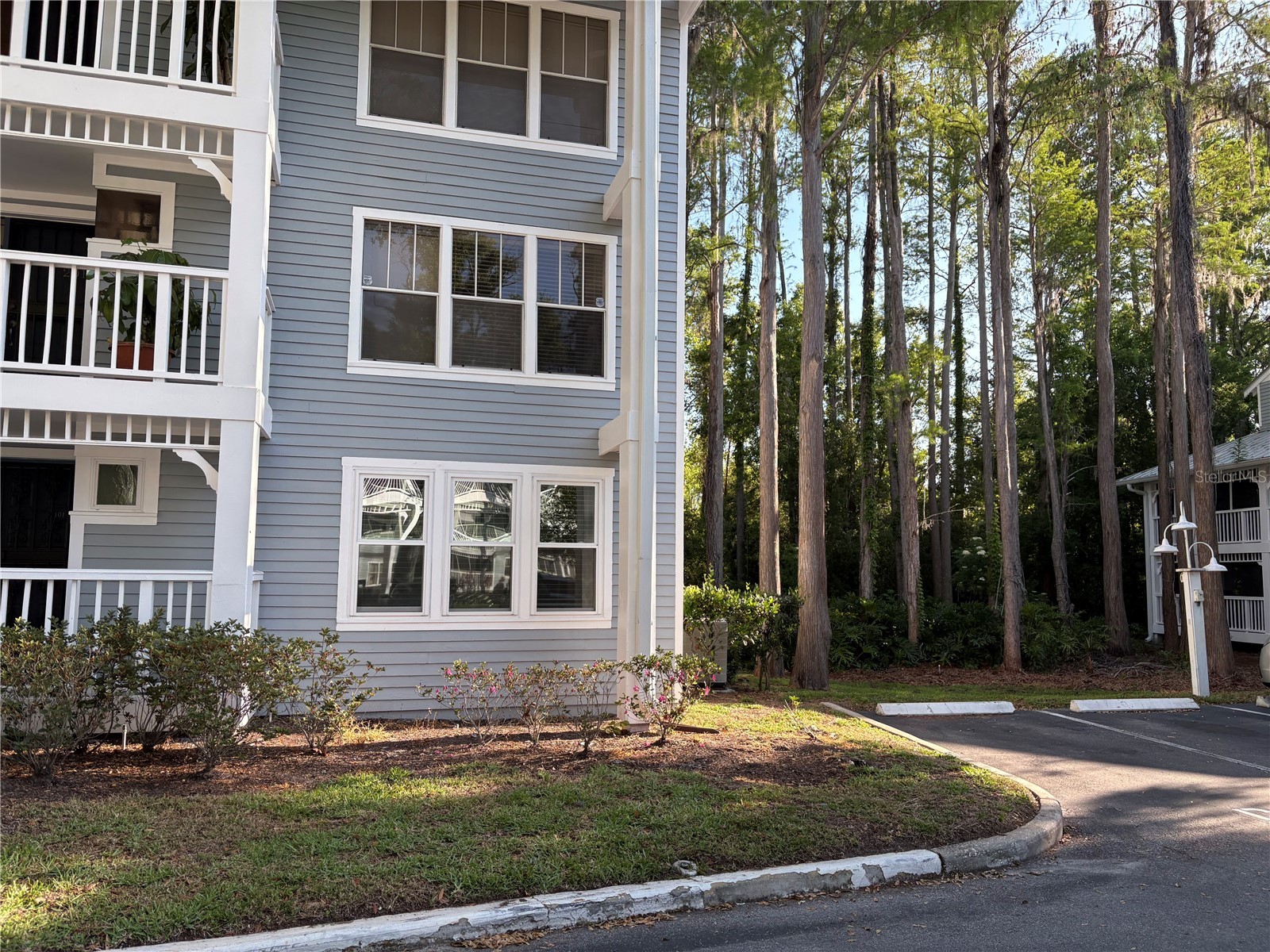 2511 2511 Dolly Bay Drive #102 Palm Harbor FL 34684 OM723041 image2