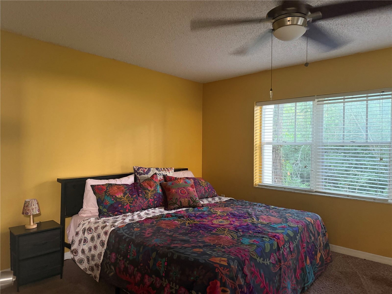 2511 2511 Dolly Bay Drive #102 Palm Harbor FL 34684 OM723041 image30