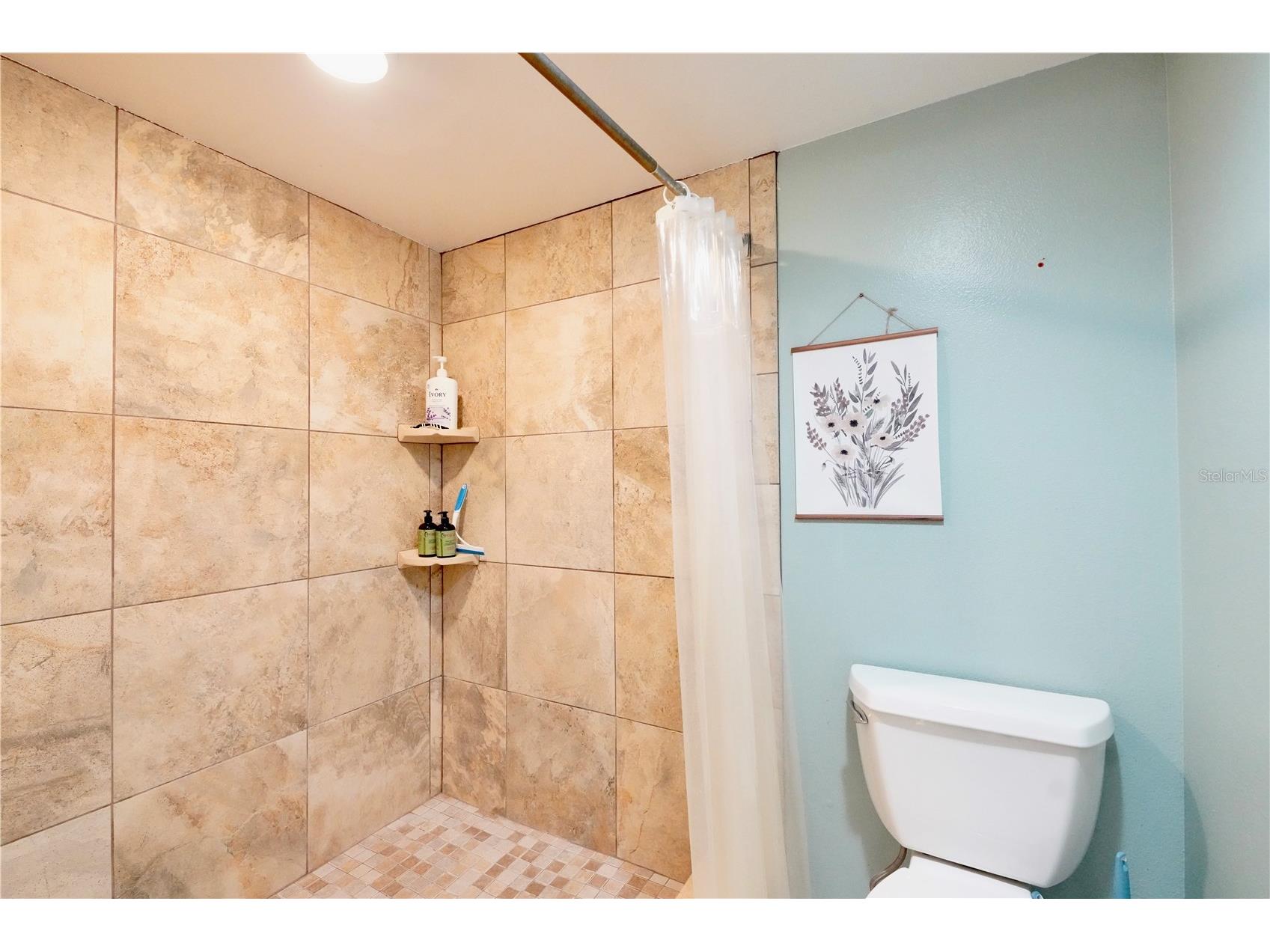 2511 2511 Dolly Bay Drive #102 Palm Harbor FL 34684 OM723041 image43
