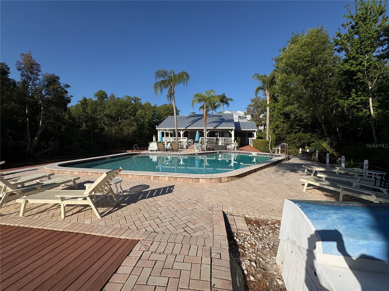 2511 2511 Dolly Bay Drive #102 Palm Harbor FL 34684 OM723041 image6